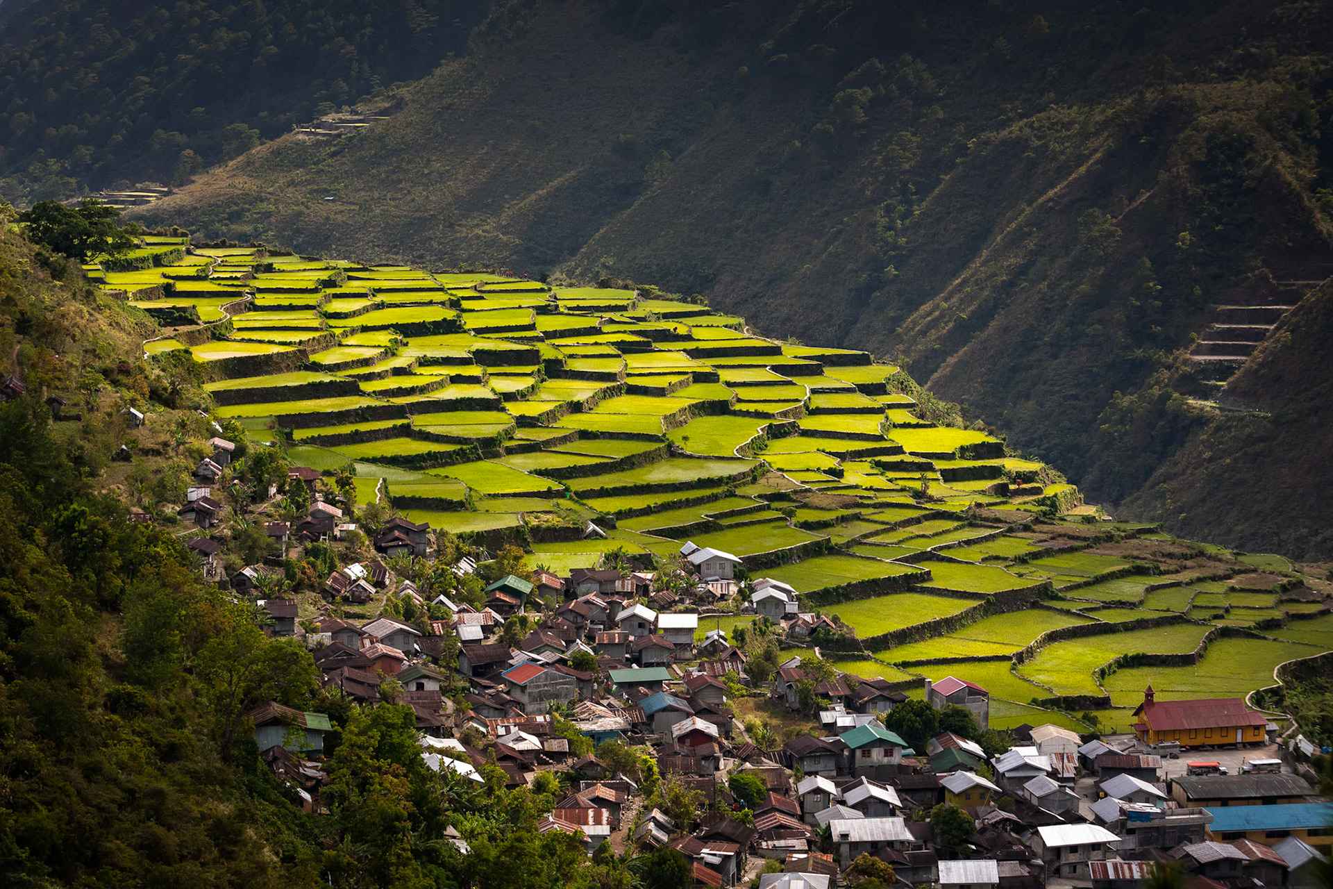 Vew over Bay-yo Village Rice Terraces between Banaue and Bontoc, Phillipines