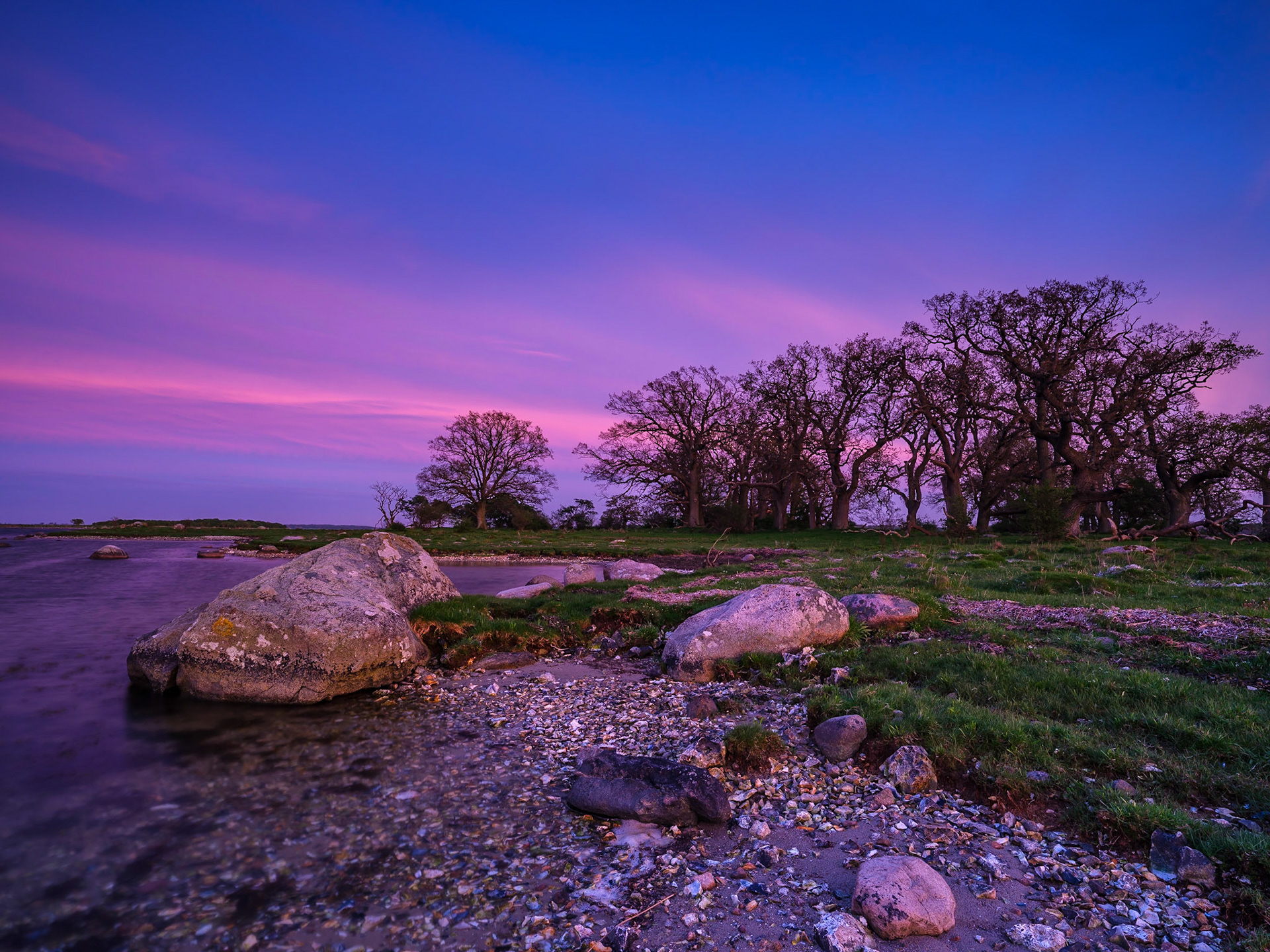 Beautiful May evening at Skejten, Denmark with a intense pink/purple light.