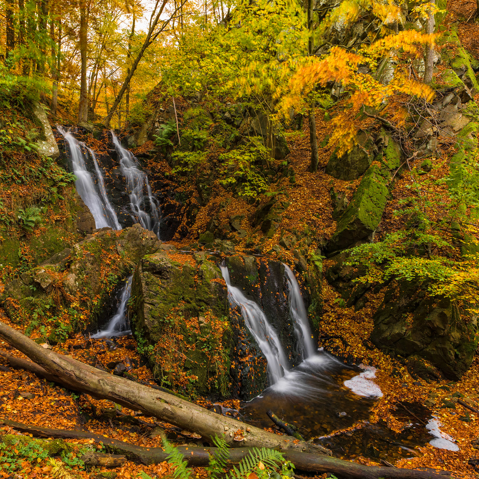 Autumn at Forsakar Waterfall