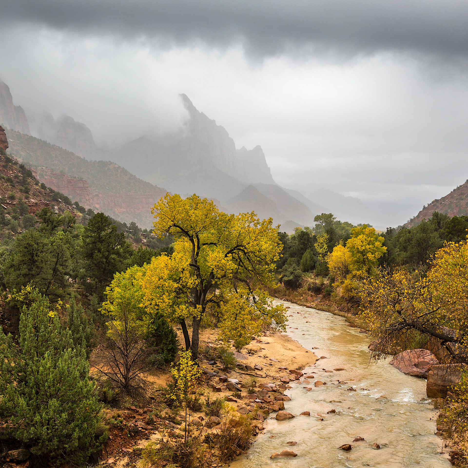 When we came into Zion from Bryce it was indeed a very rainy day, but still managed to get the camera out.