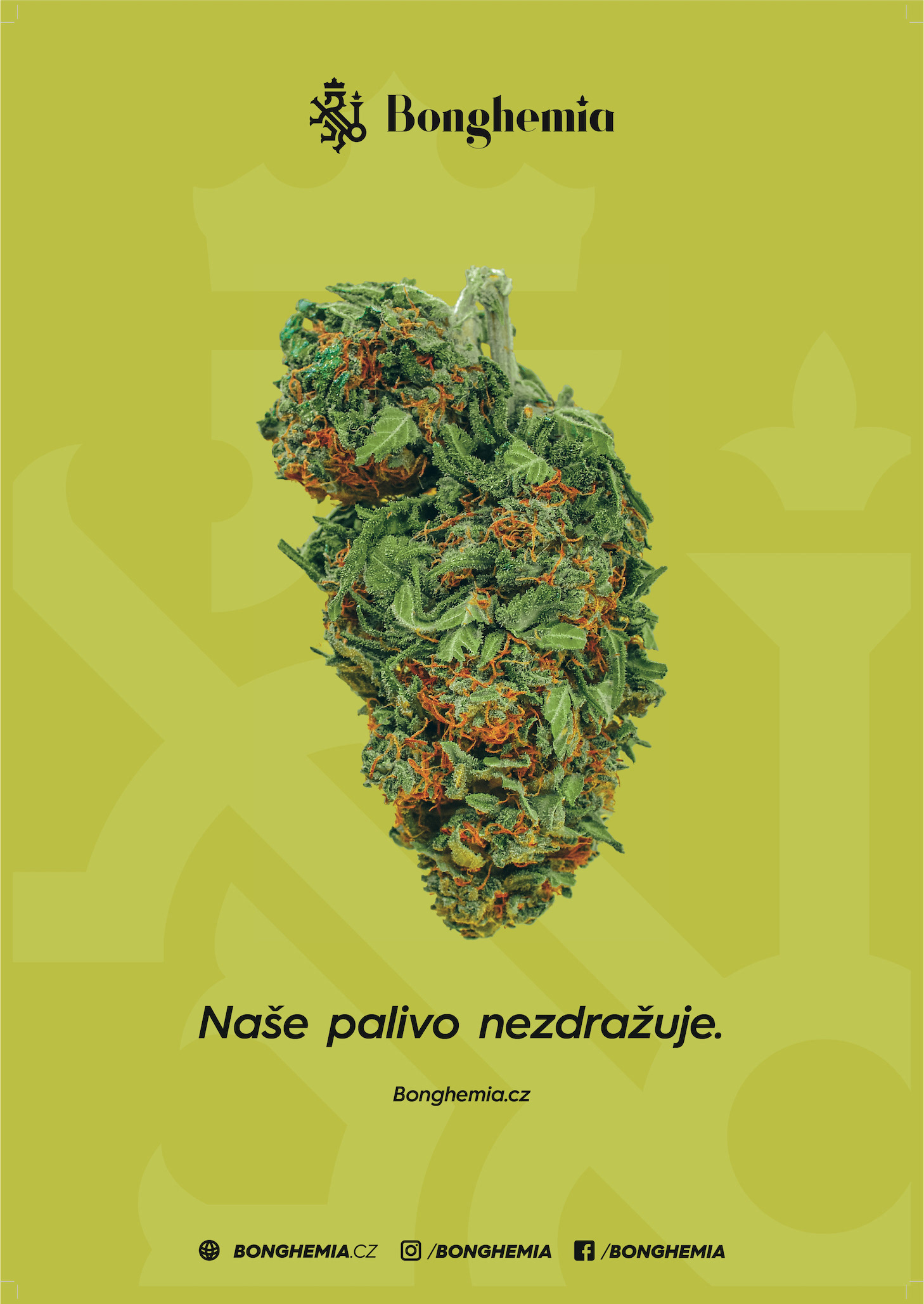 Cannabis poster for Bonghemia