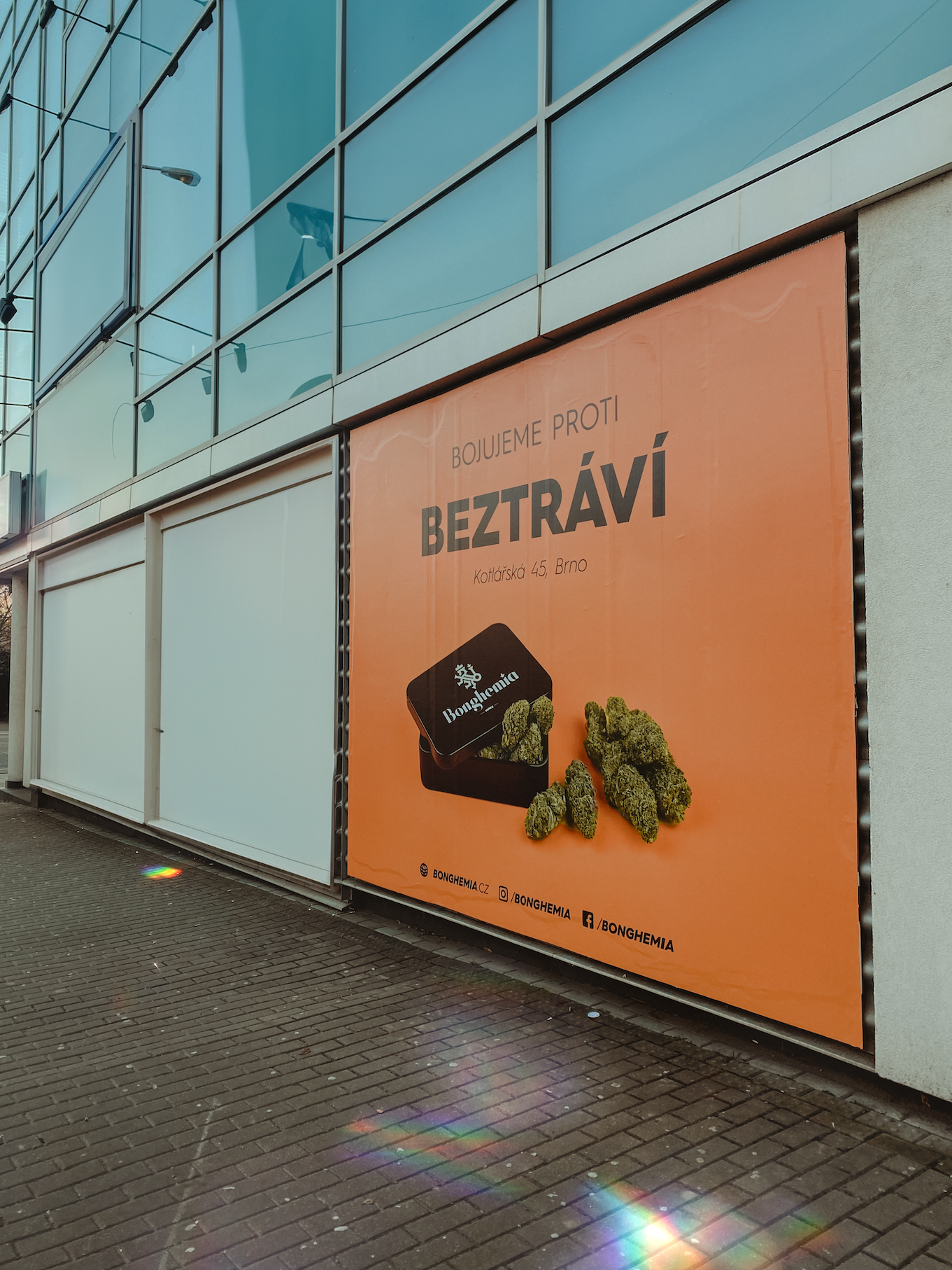 Cityboard for Bonghemia 