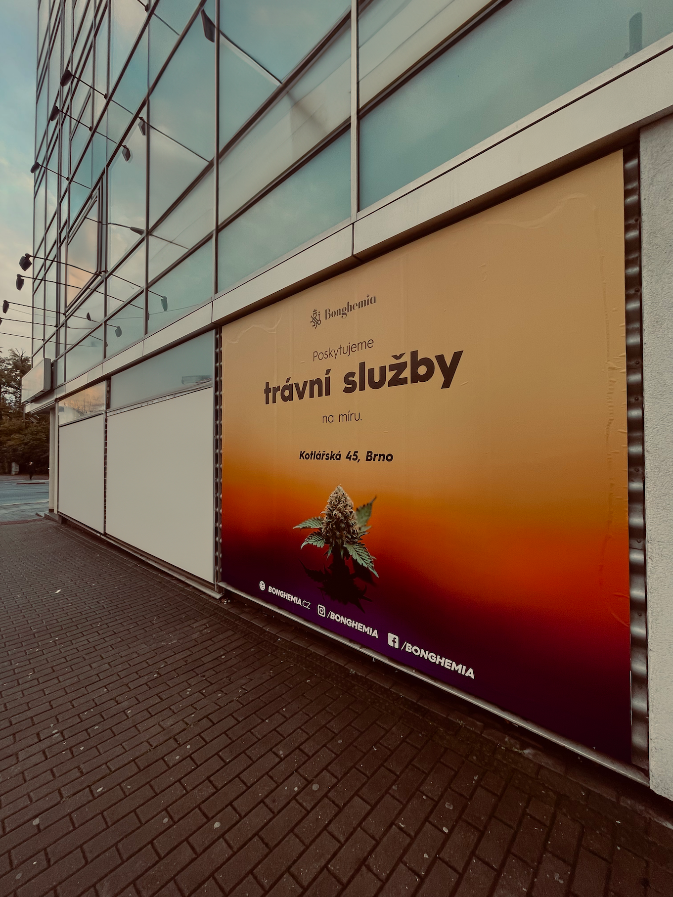 Cityboard for Bonghemia 