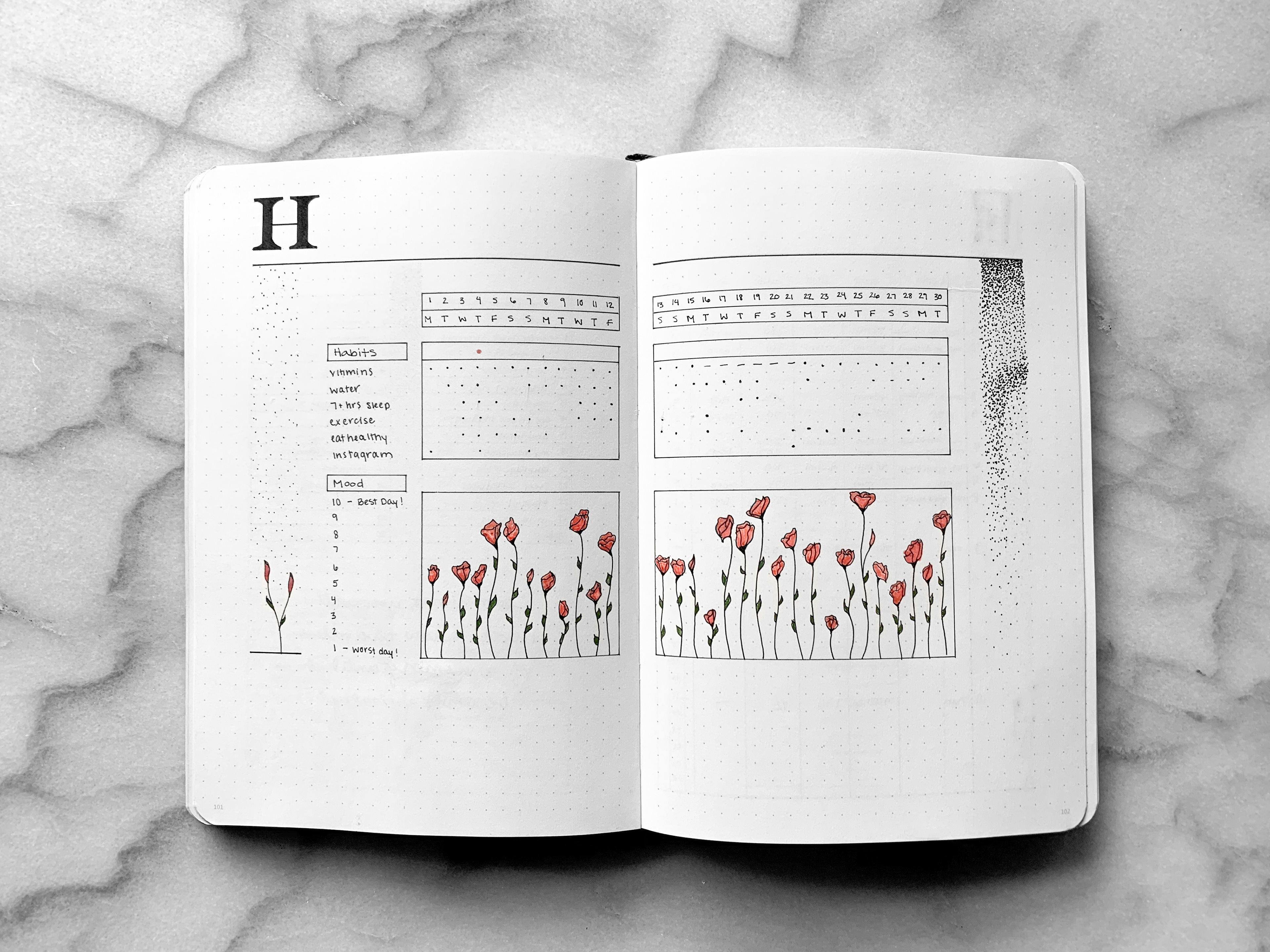 April 2019 Habits