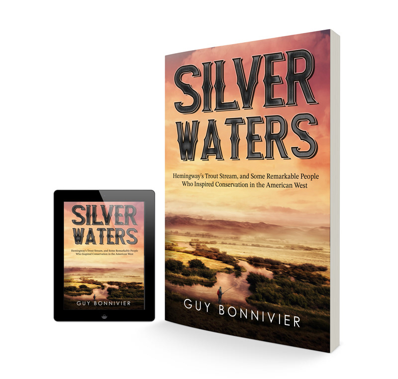 Silver Waters / Book Cover Design