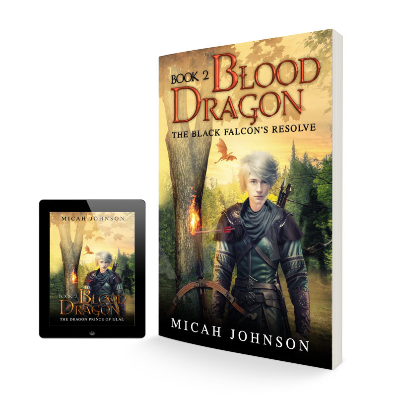 Blood Dragon Book2  / Book Cover Design