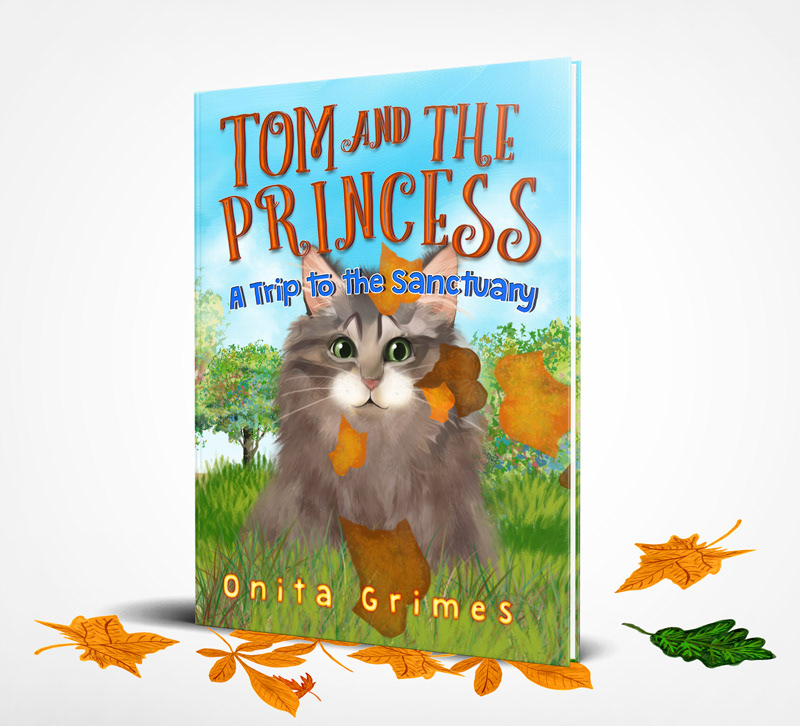 Tom And The Princess / Book Cover Design