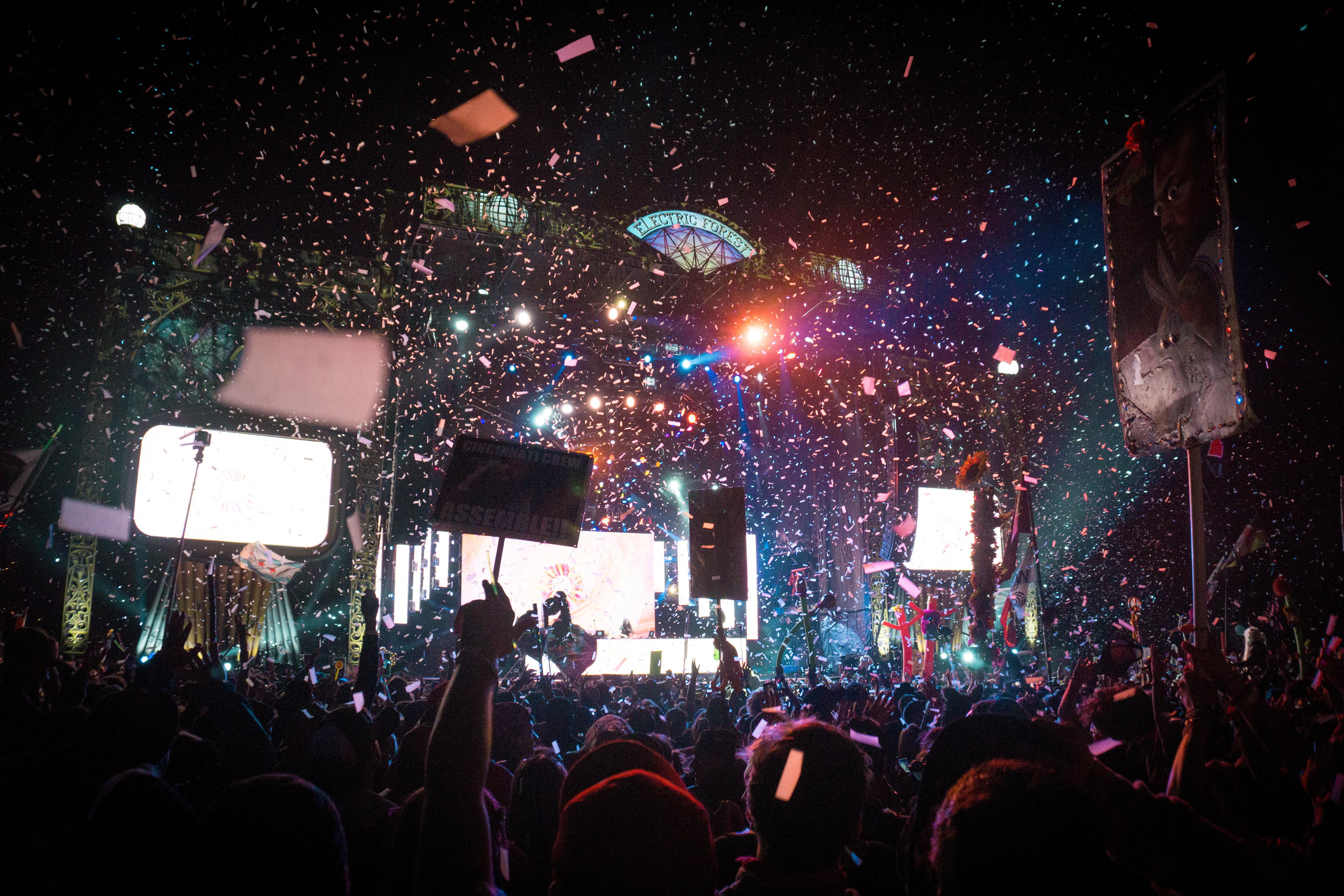 Electric Forest