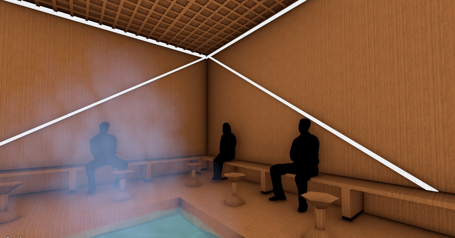 SAUNA ROOM