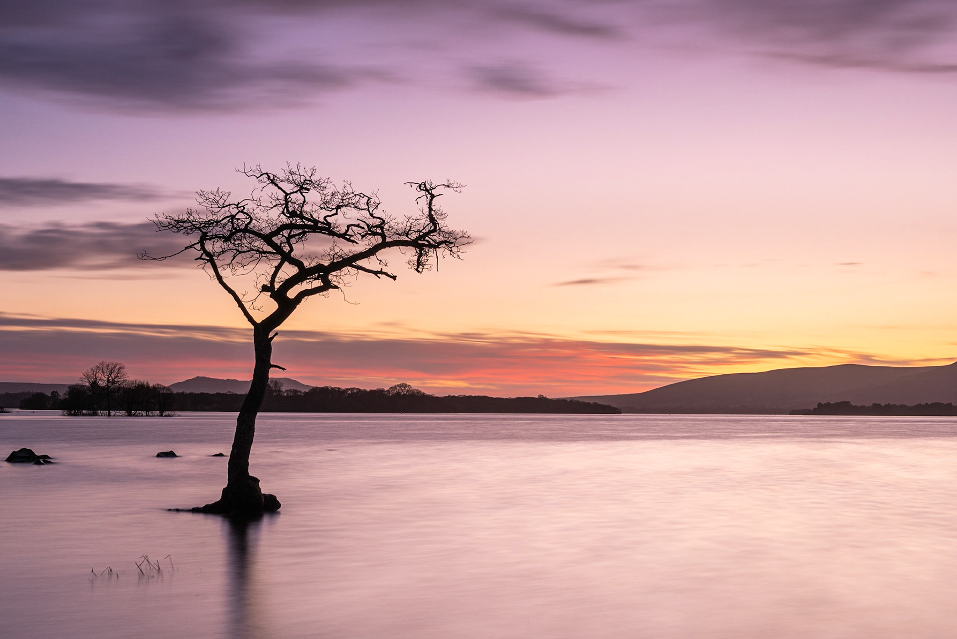 A sunset at the Picturesque Lone Tree at Milarrochy Bay on Loch Lomond, near the village of Balmaha, Scotland.