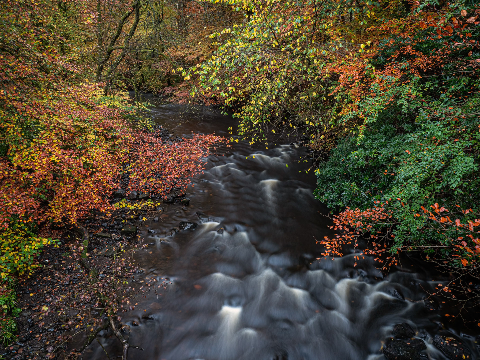 Glazert River in Autumn