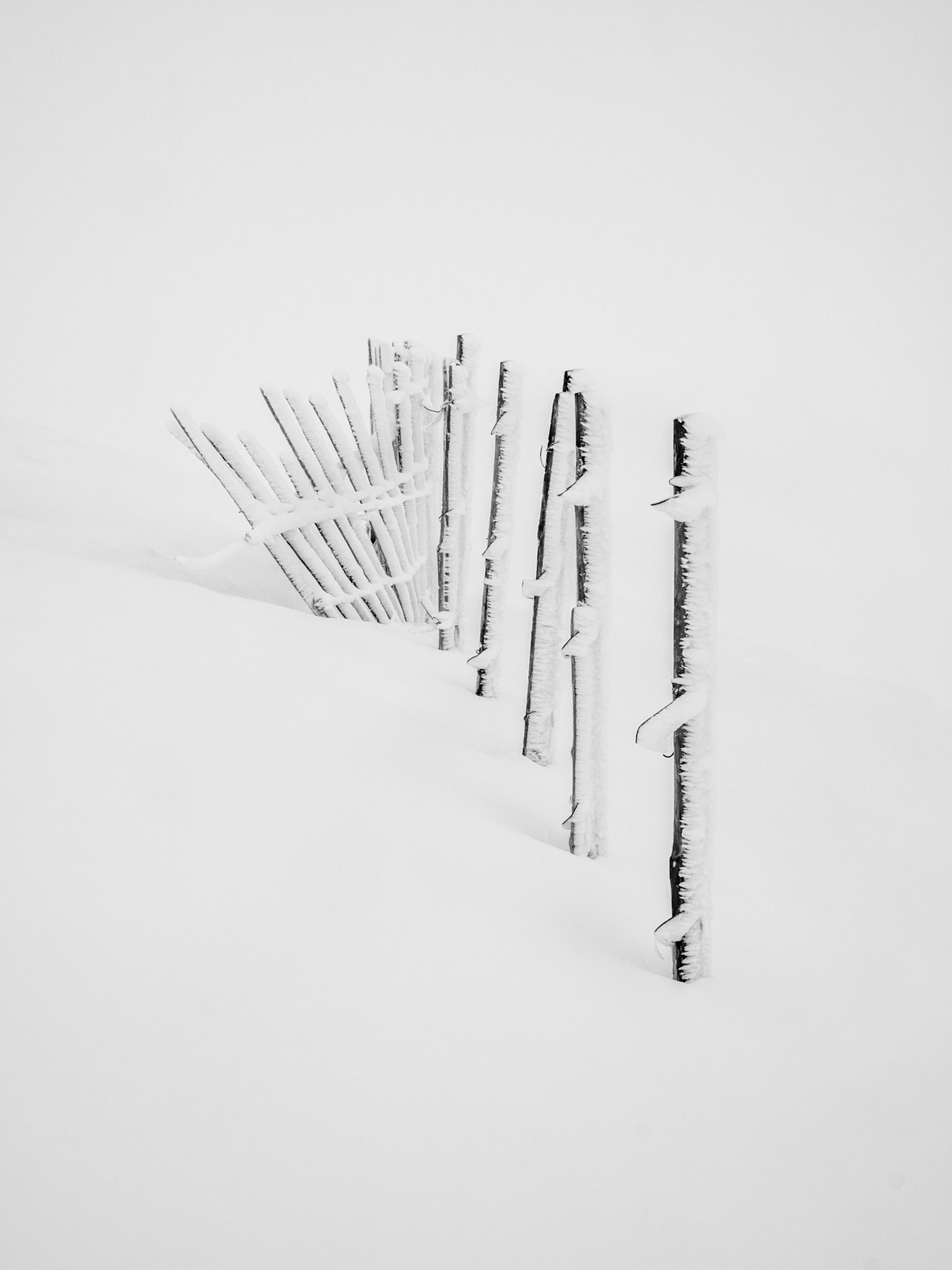 Rime Ice on ski fence