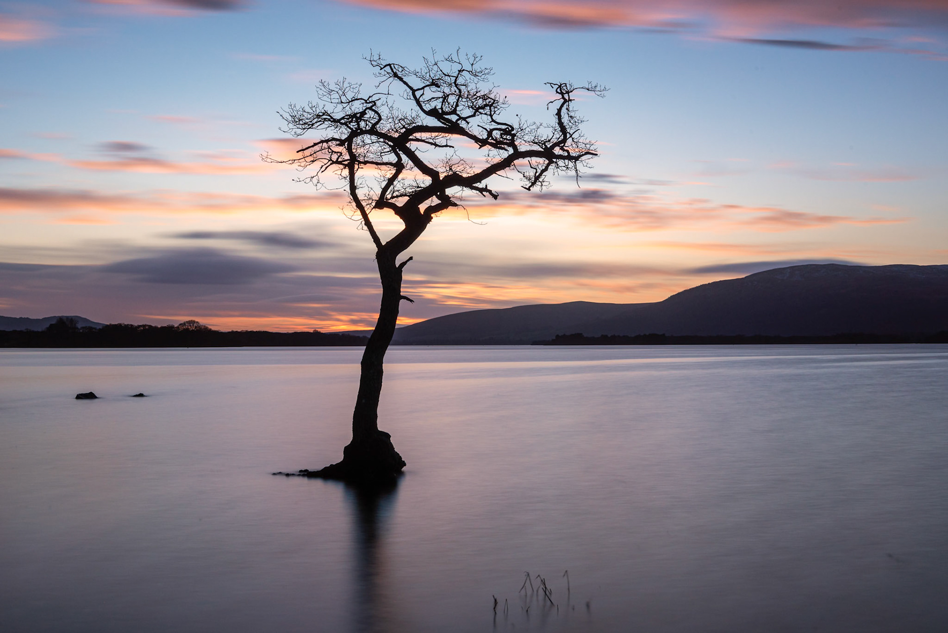 Looking over Loch Lomond from the lone tree at Milarrochy Bay at sunset