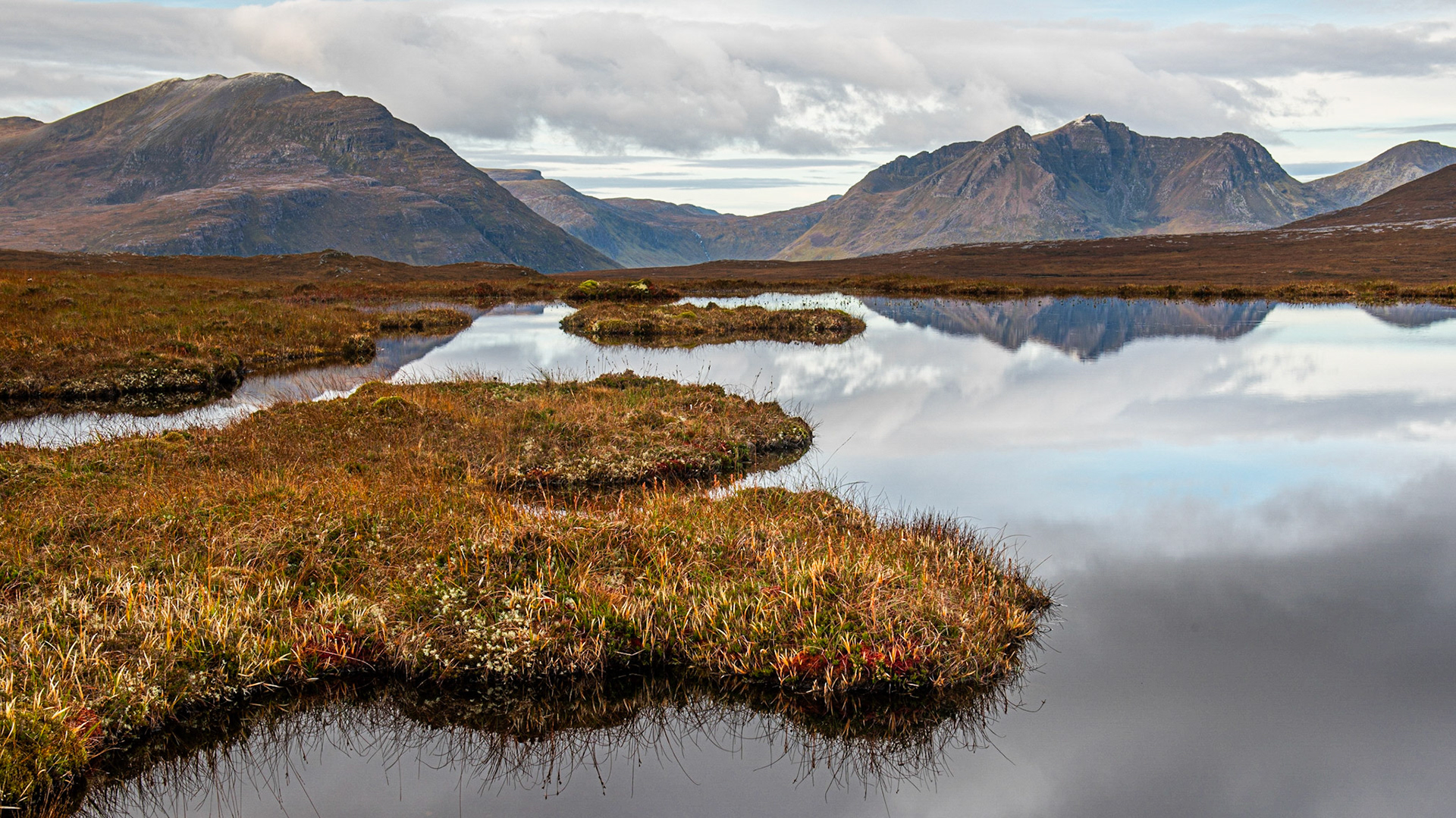 Reflections of Fisherfield
