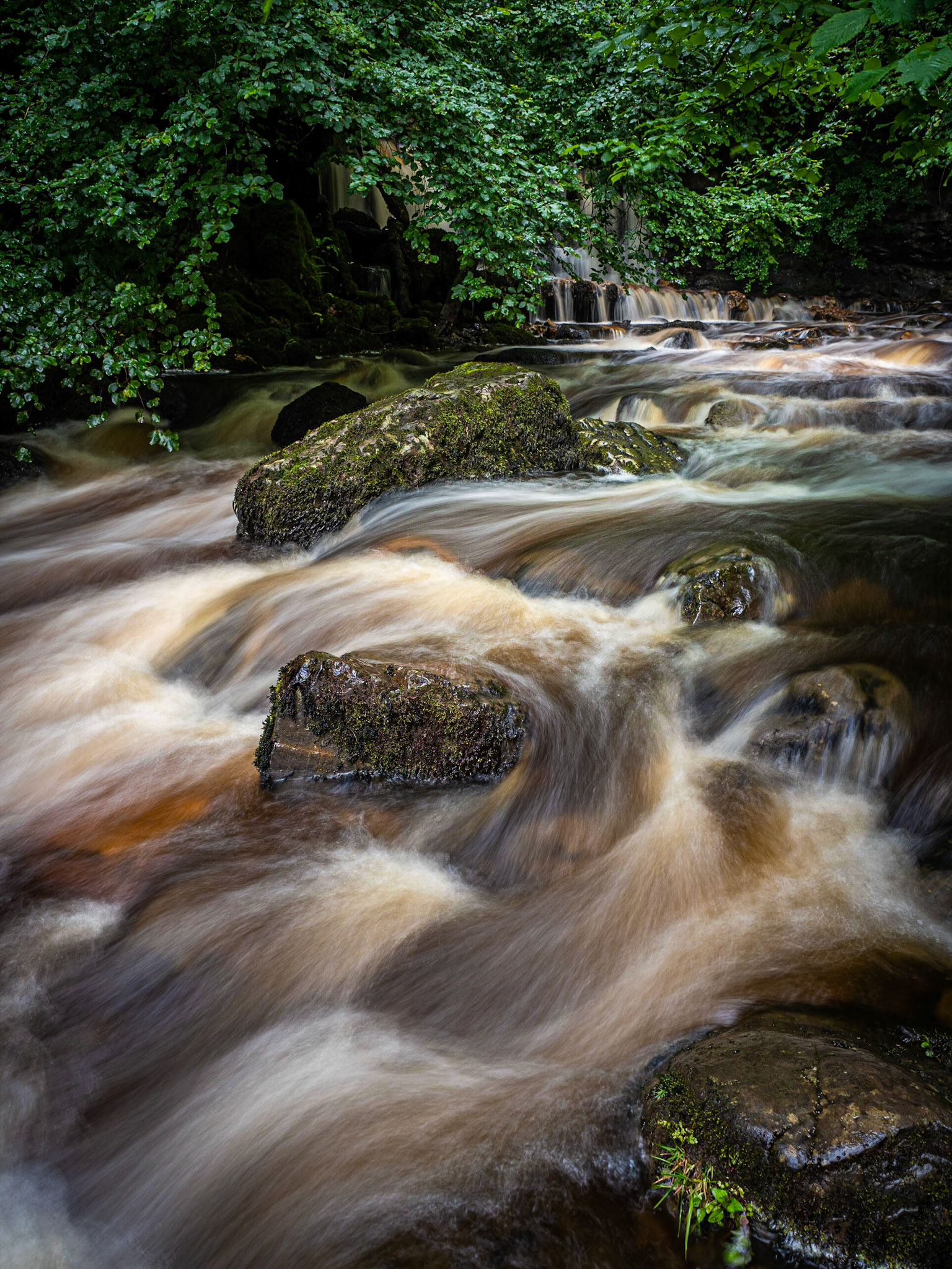 Small waterfalls on Kirk Burn running through Campsie Glen just above Clachan of Campsie nr Lennoxtown Scotland.