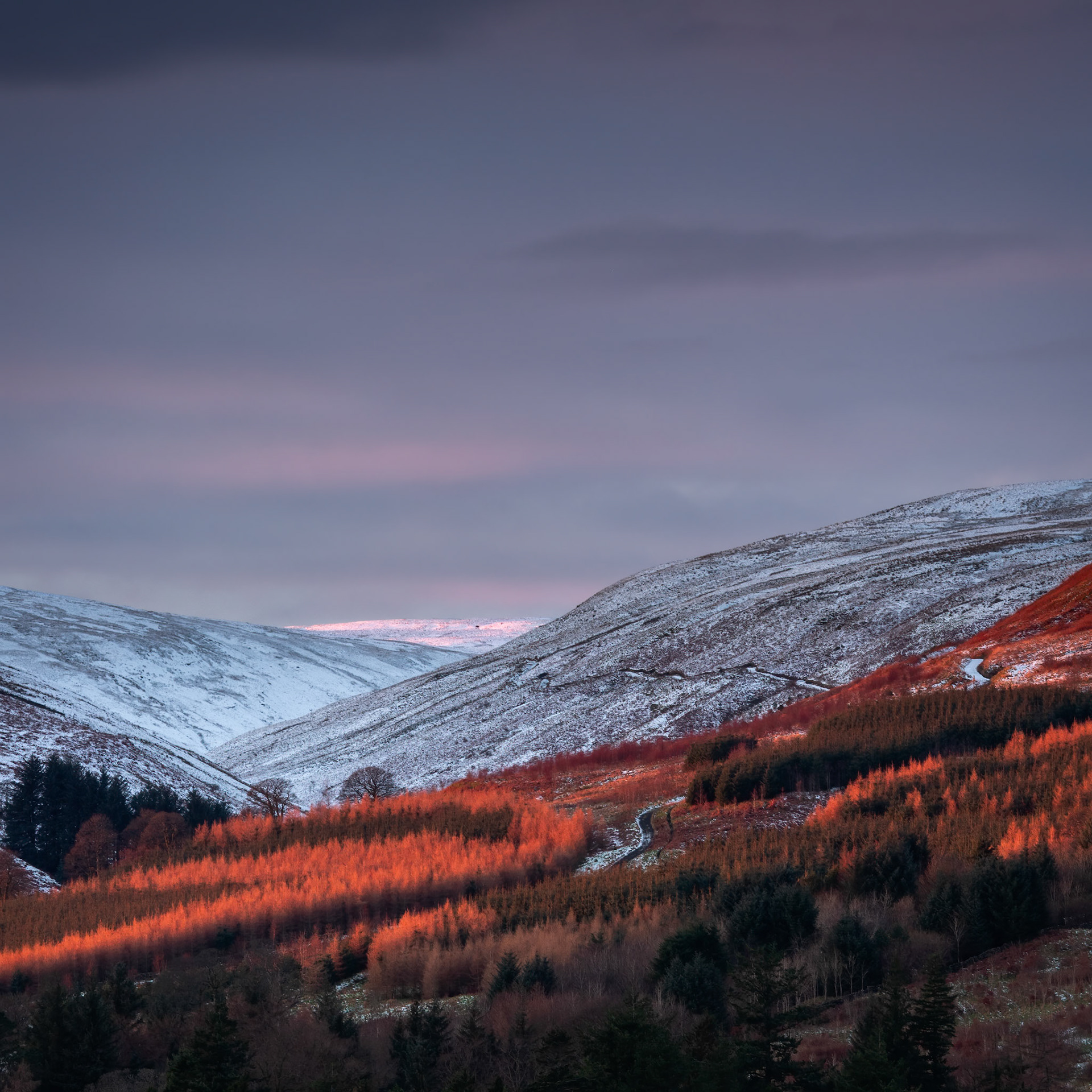 Last light on Finglen in winter on the Campsie Fells near Lennoxtown, Scotland