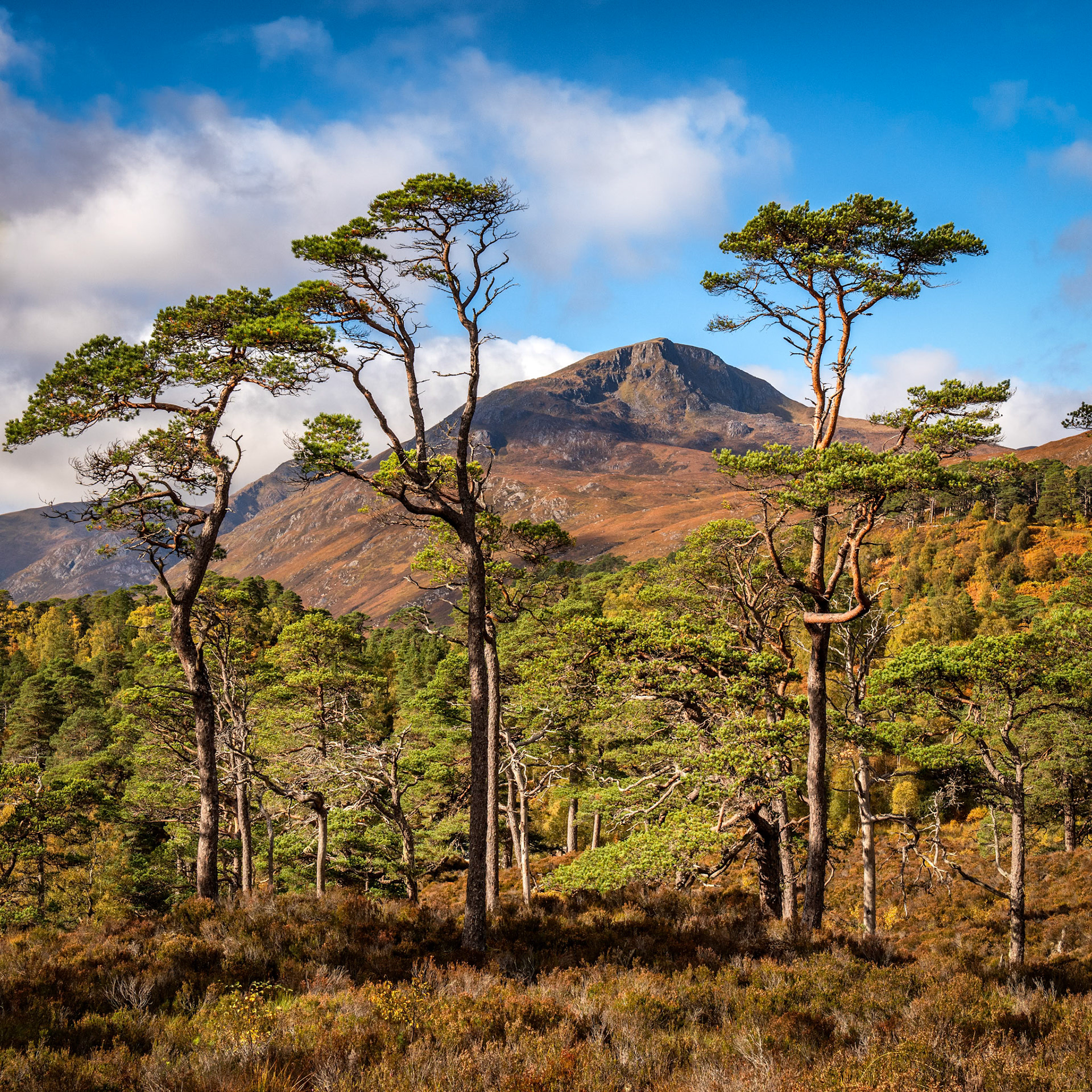 Sgurr na Lapaich (1036m) in Glen Affric  It is perhaps the most beautiful glen in Scotland with a stunning combinations of lochs and pines and mountains in Glen Affric  It is perhaps the most beautiful glen in Scotland with a stunning combinations of lochs and pines and mountains