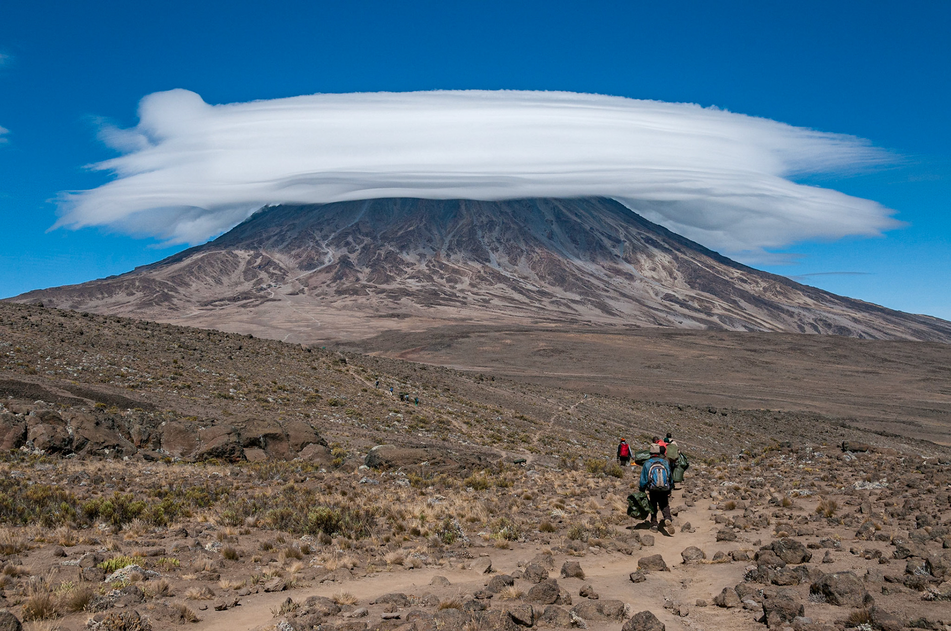 A group of porters passing through The saddle area on Rongai Route, Kilimanjaro
