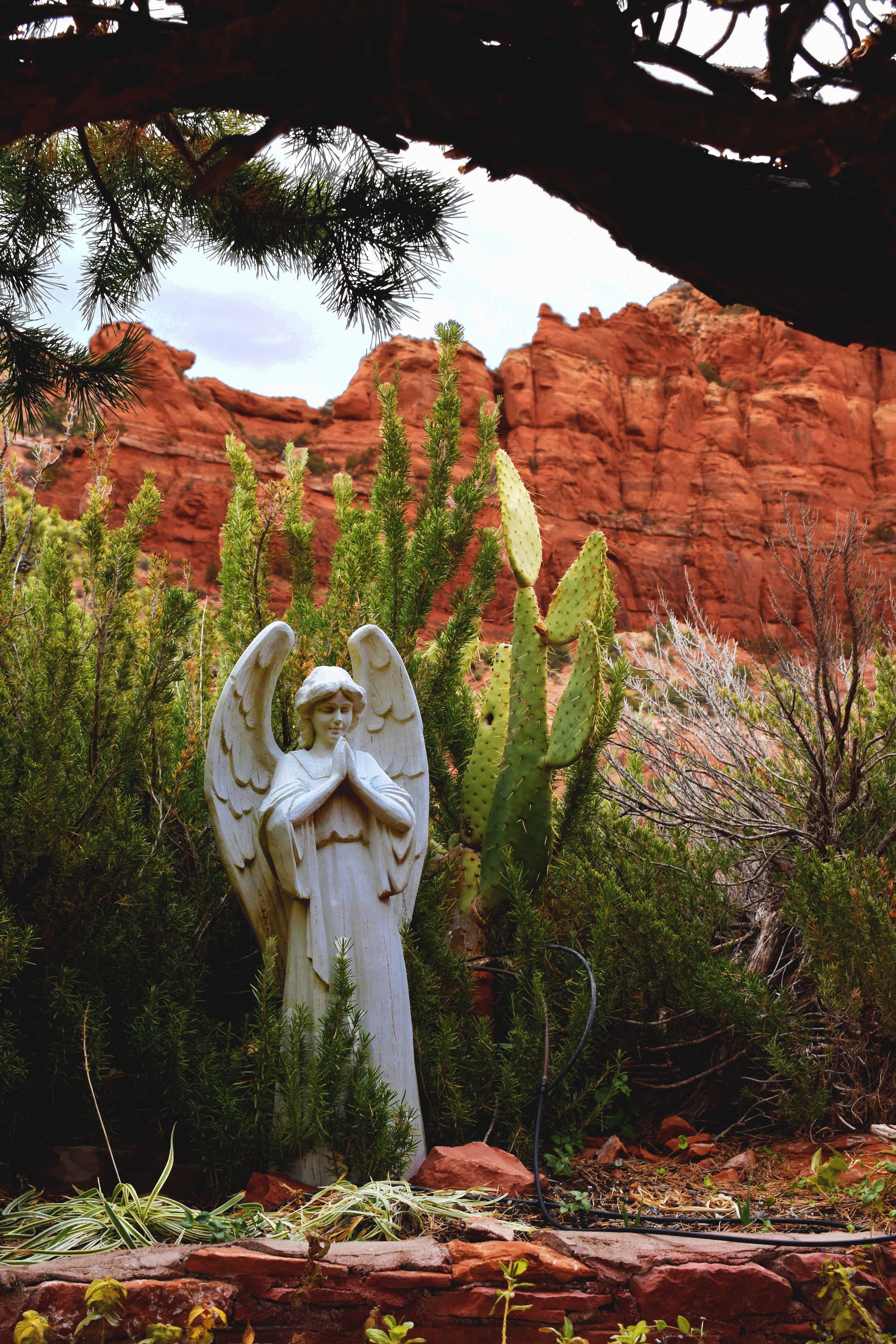 Angels en Arizona