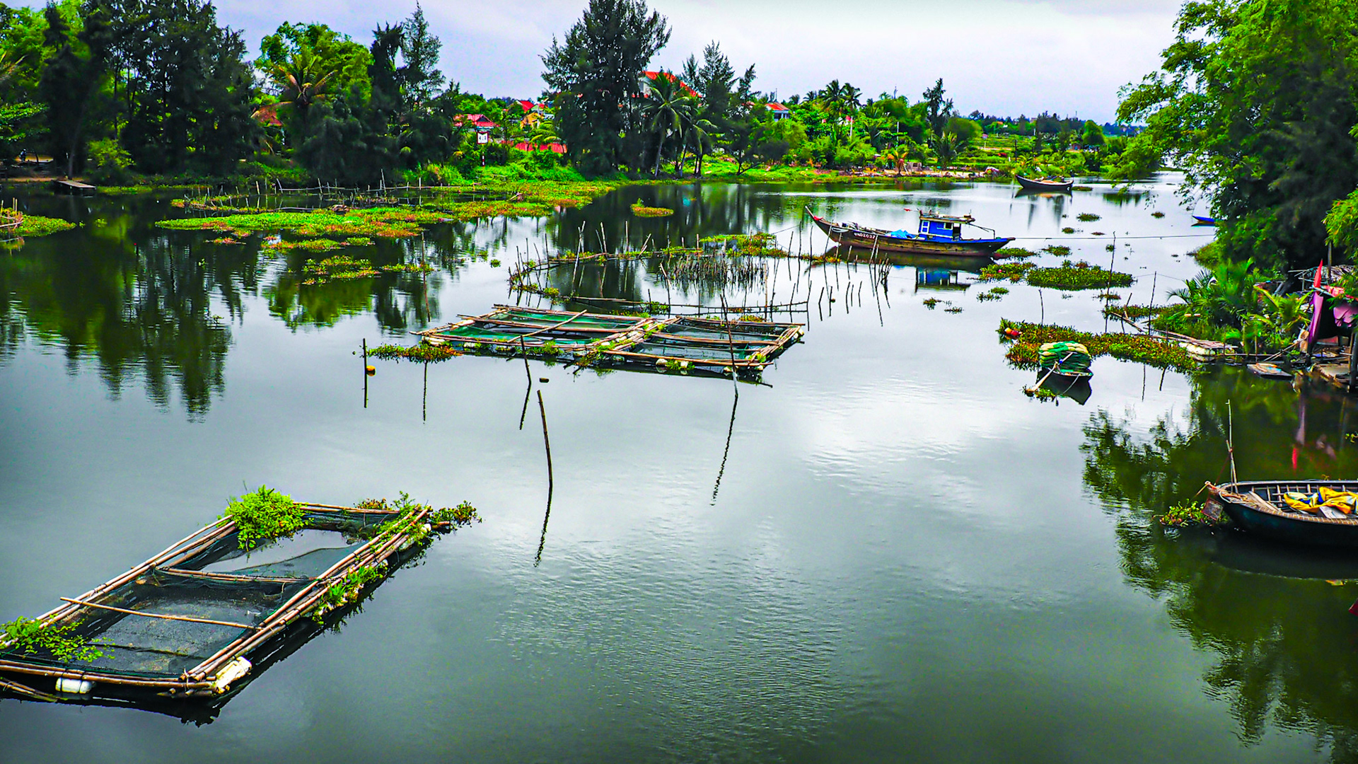 serene river scene in Hoi An