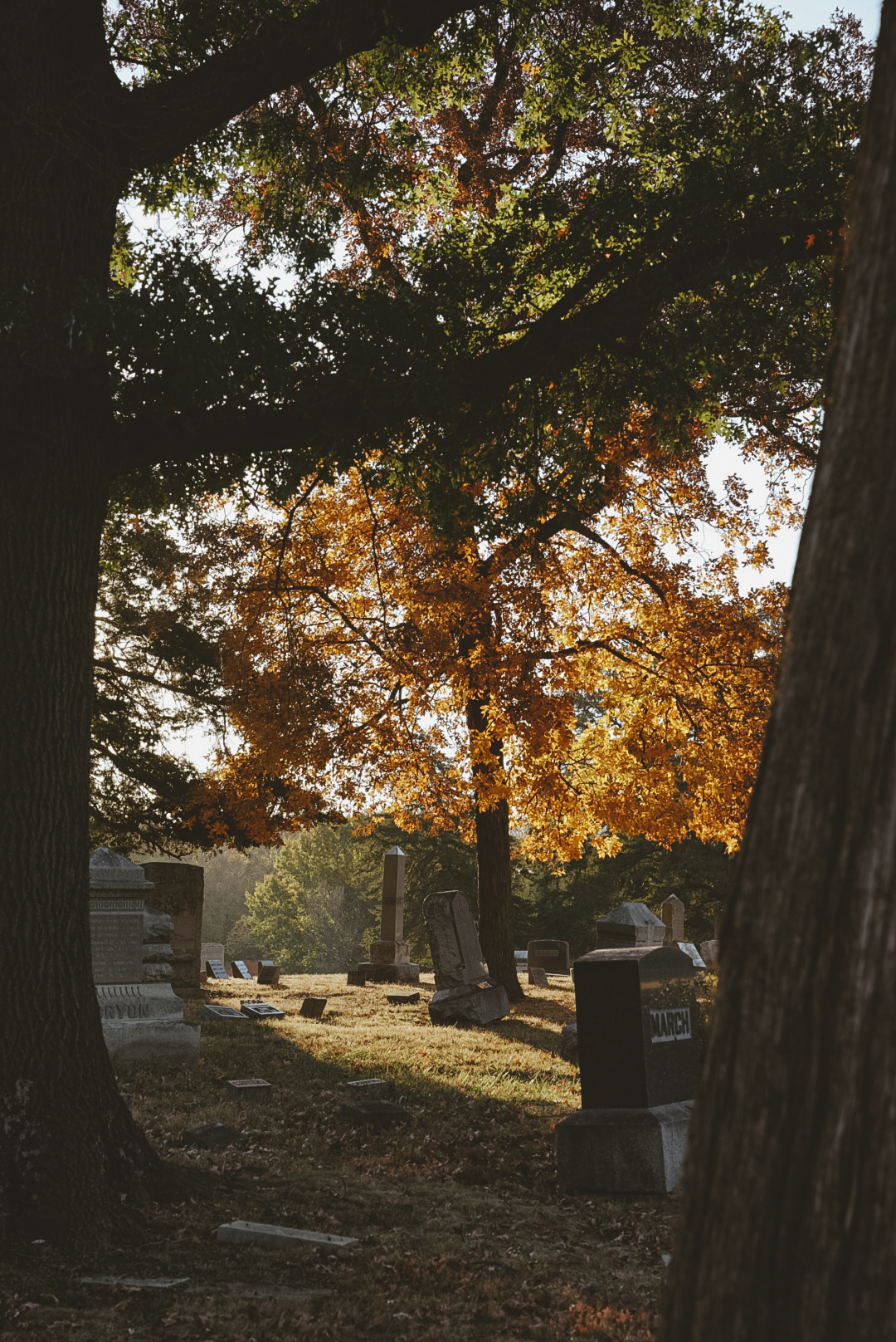 Autumnal glow, digital 