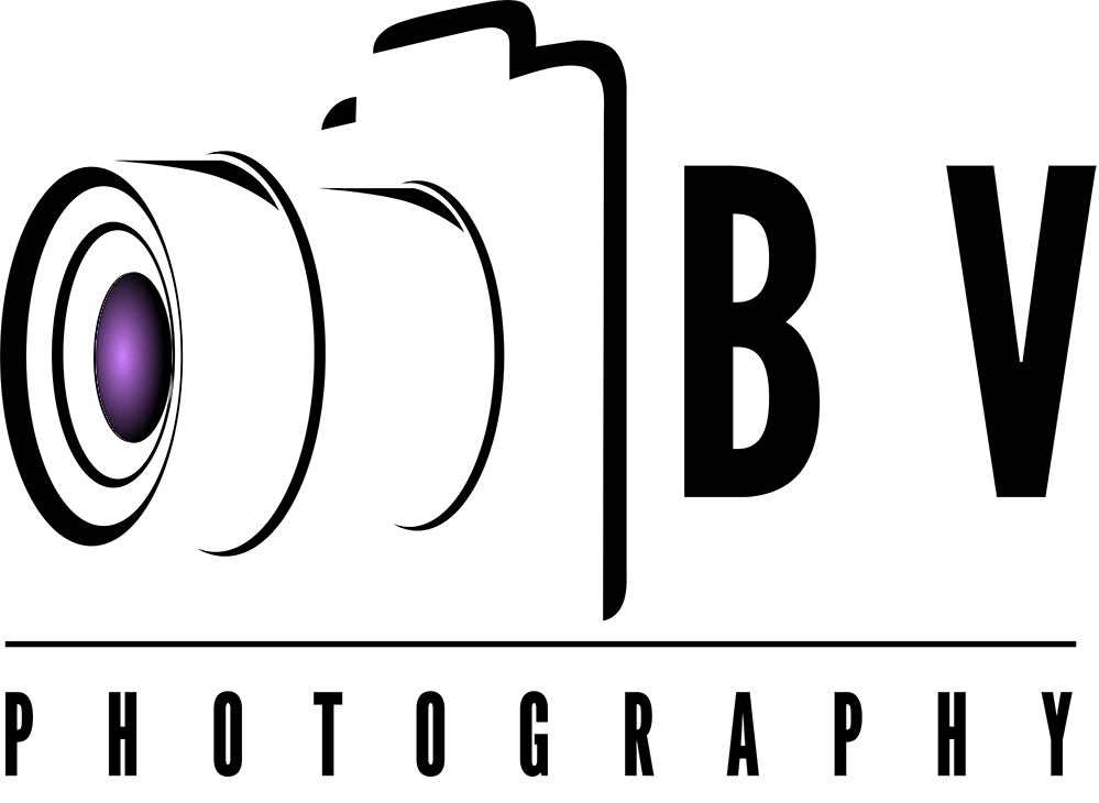 Bertrand Vindevoghel