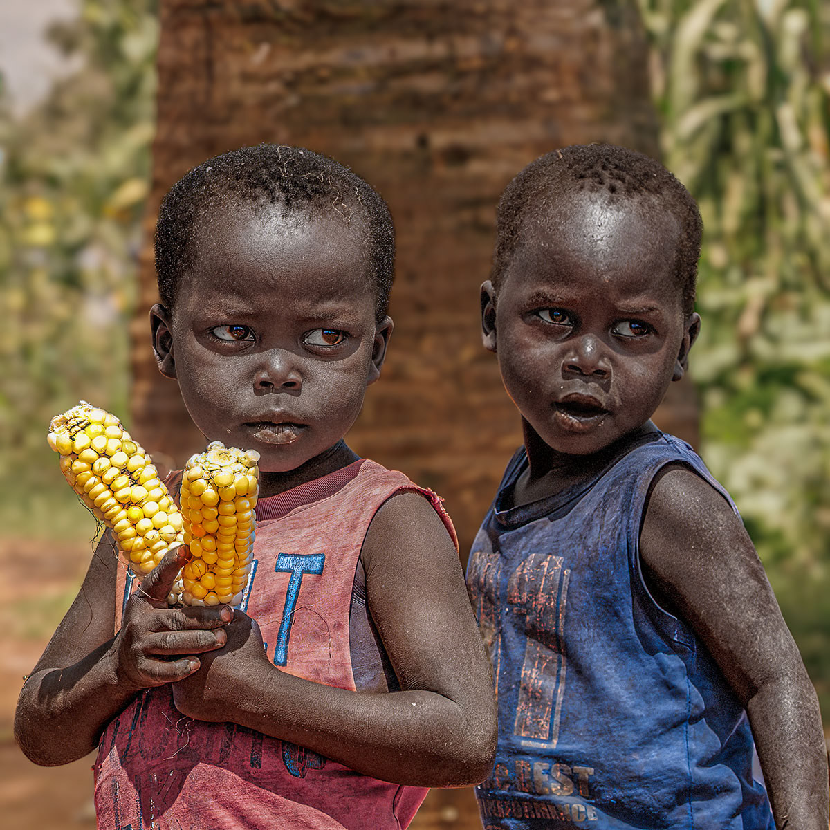 To order : Mention nr. #PTAK004