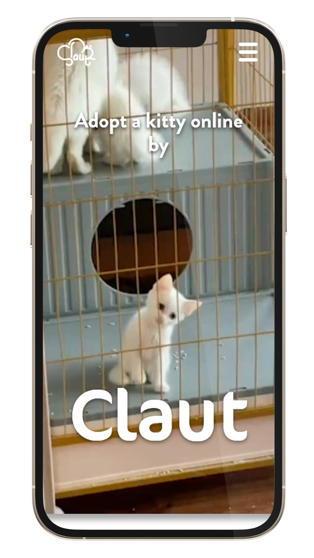 phone web-page or app design 1