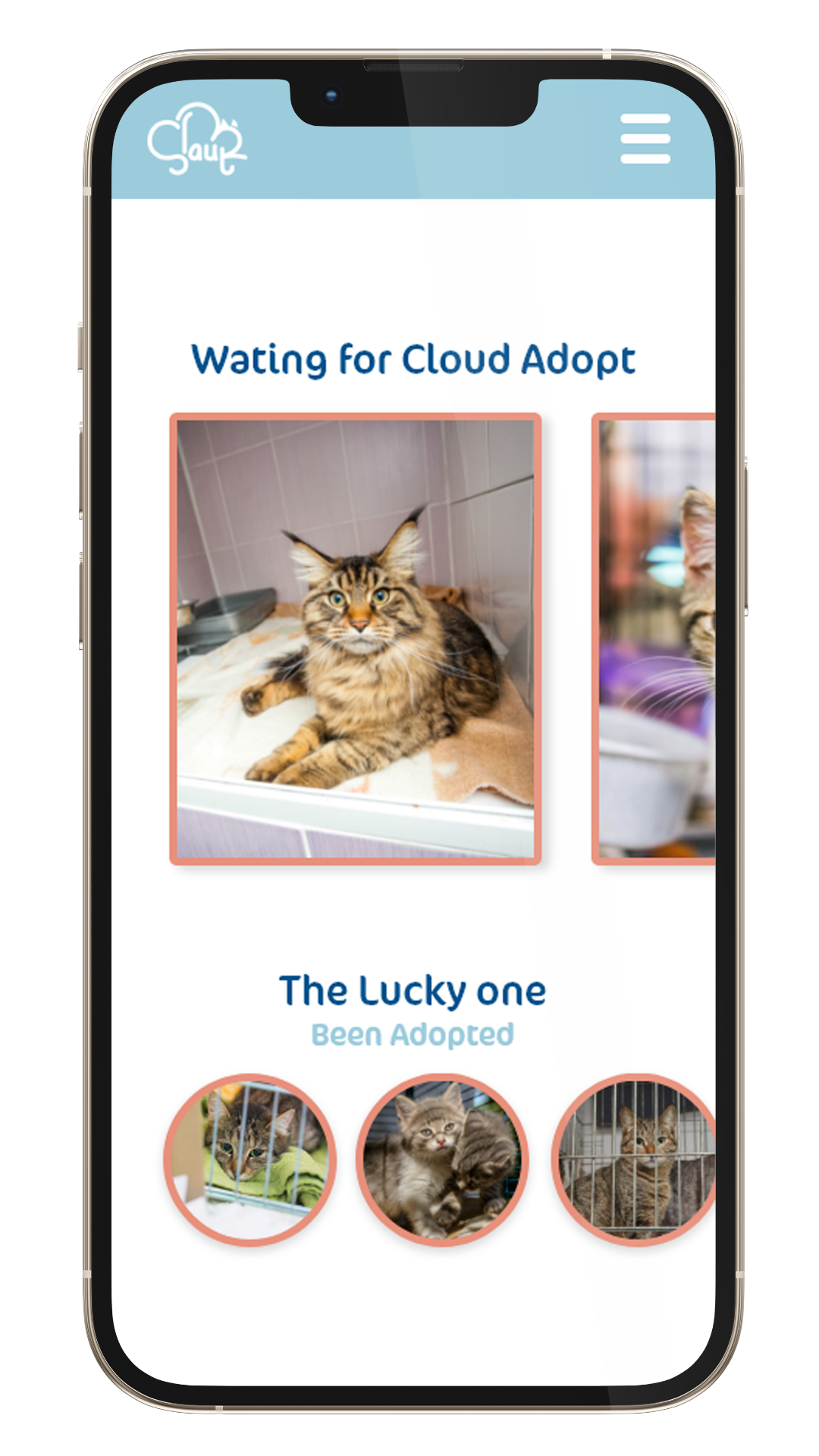 phone web-page or app design 3