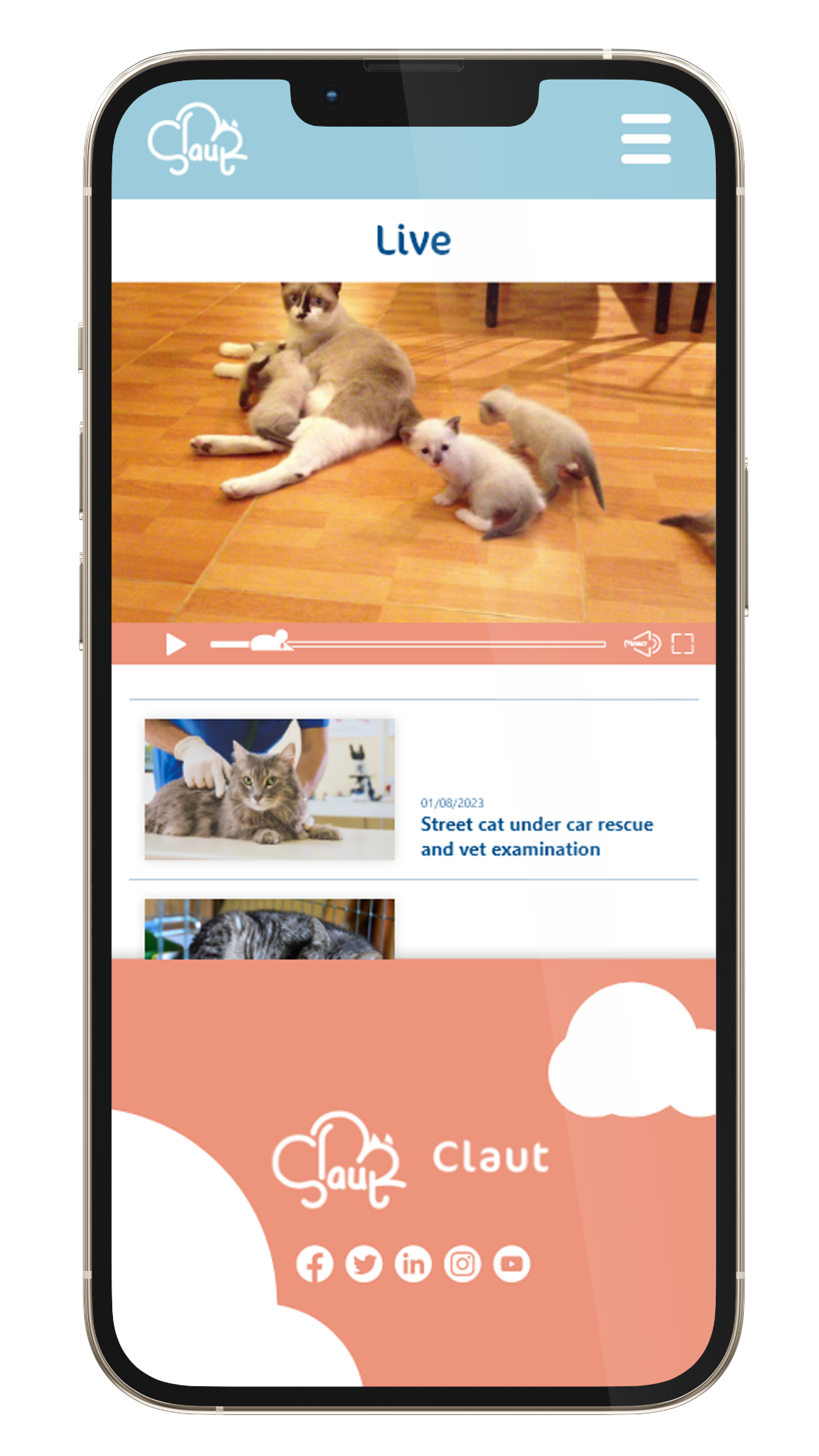 phone web-page or app design 4