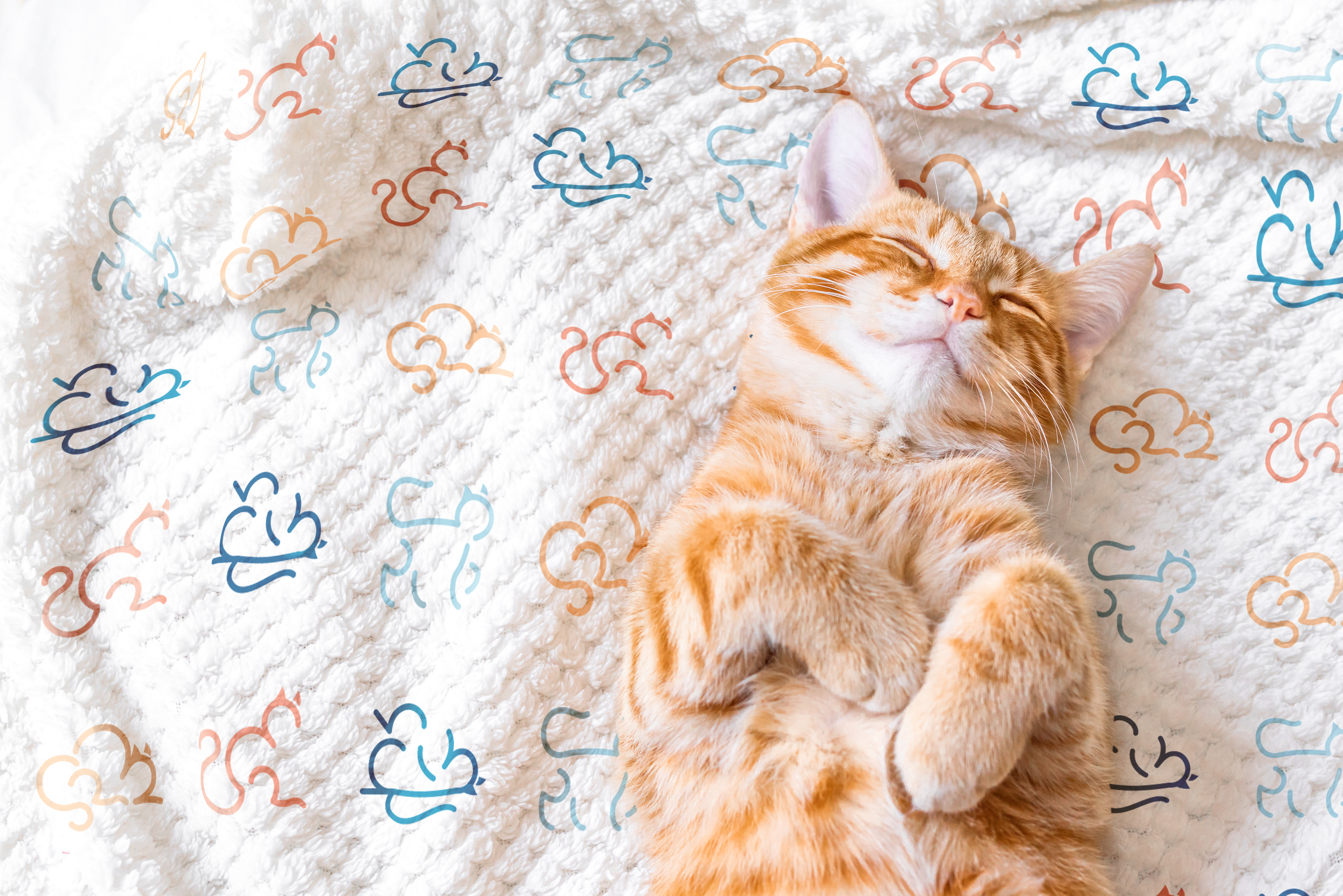 blanket design