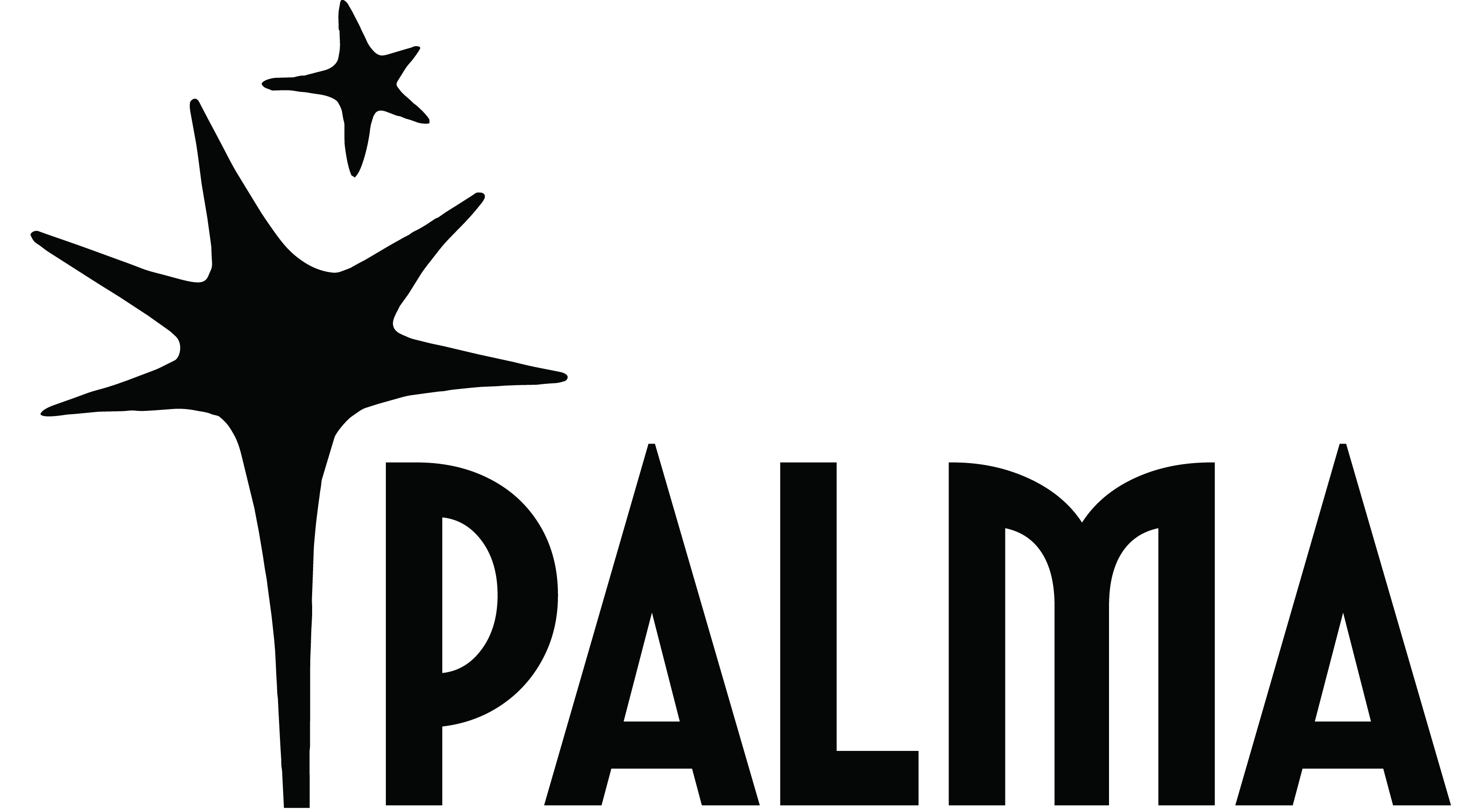 Thomas Palma