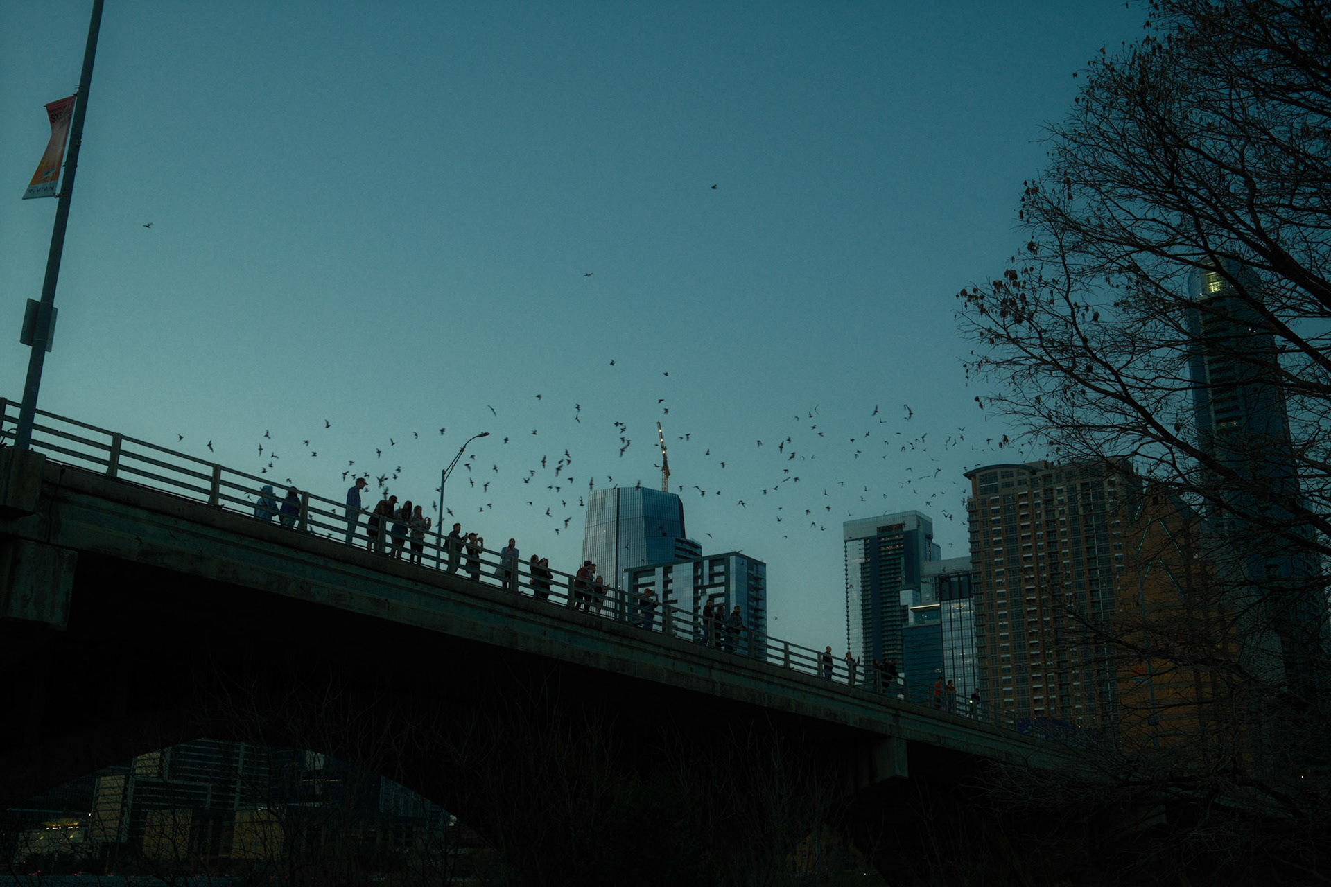 Congress Avenue Bridge