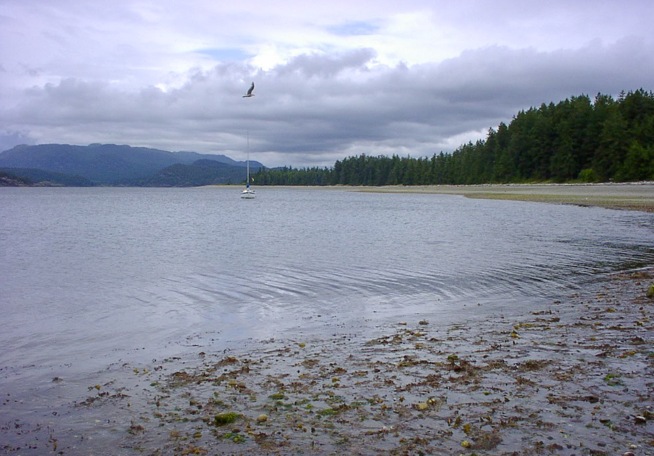 Rebecca Spit Provincial Park　クアドラ島