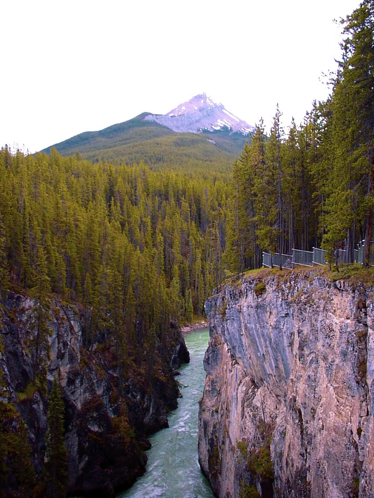 Sunwapta Falls近く