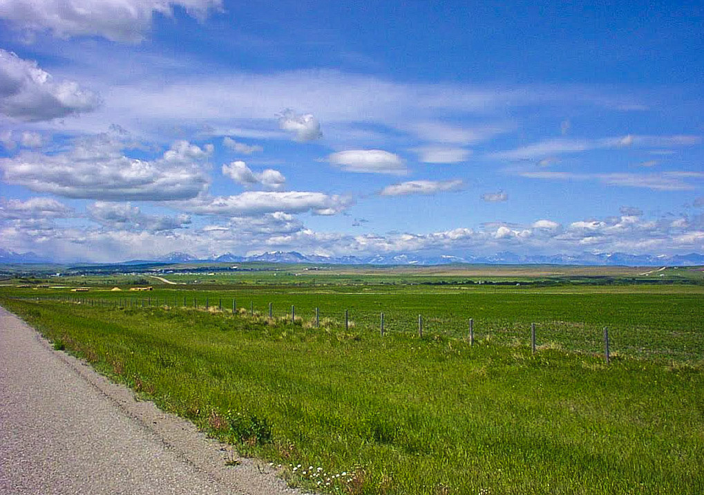 ロッキー山脈を望む