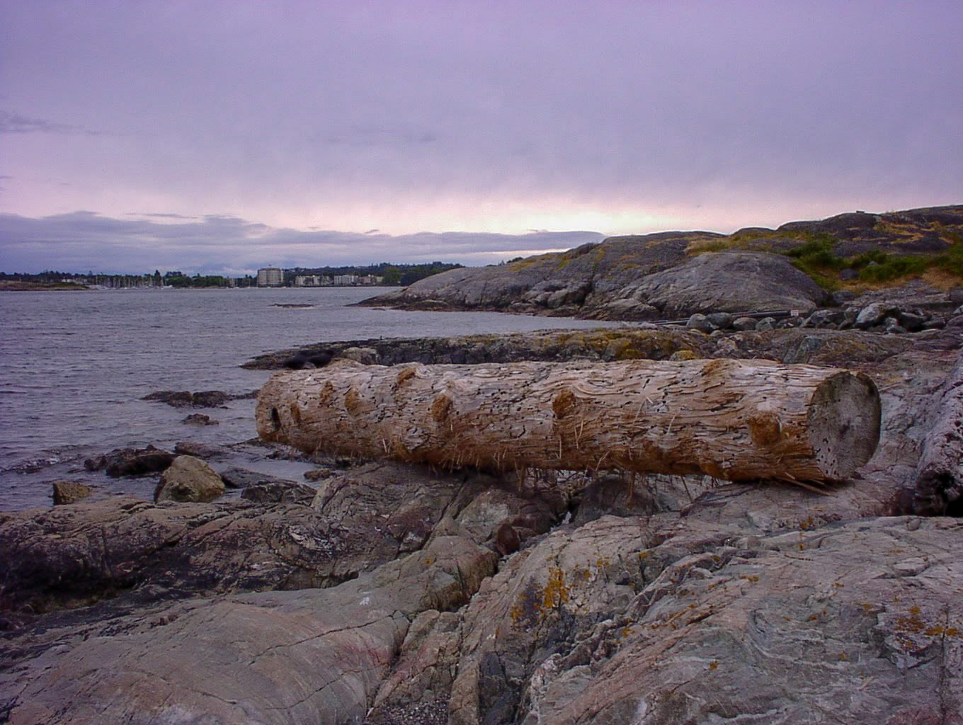 Victoriaビクトリア近くの海岸