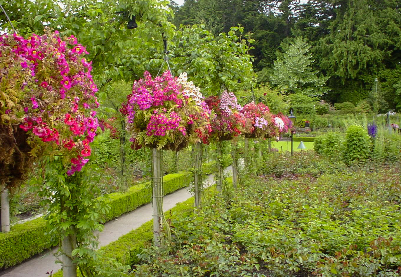 ブッチャートガーデン