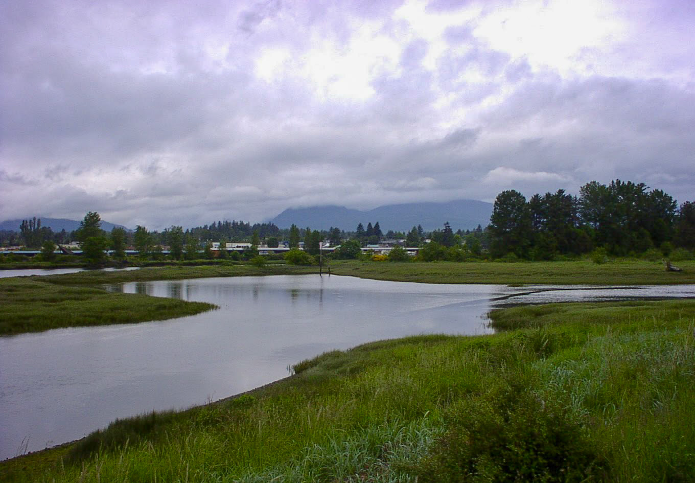Courtenay　River