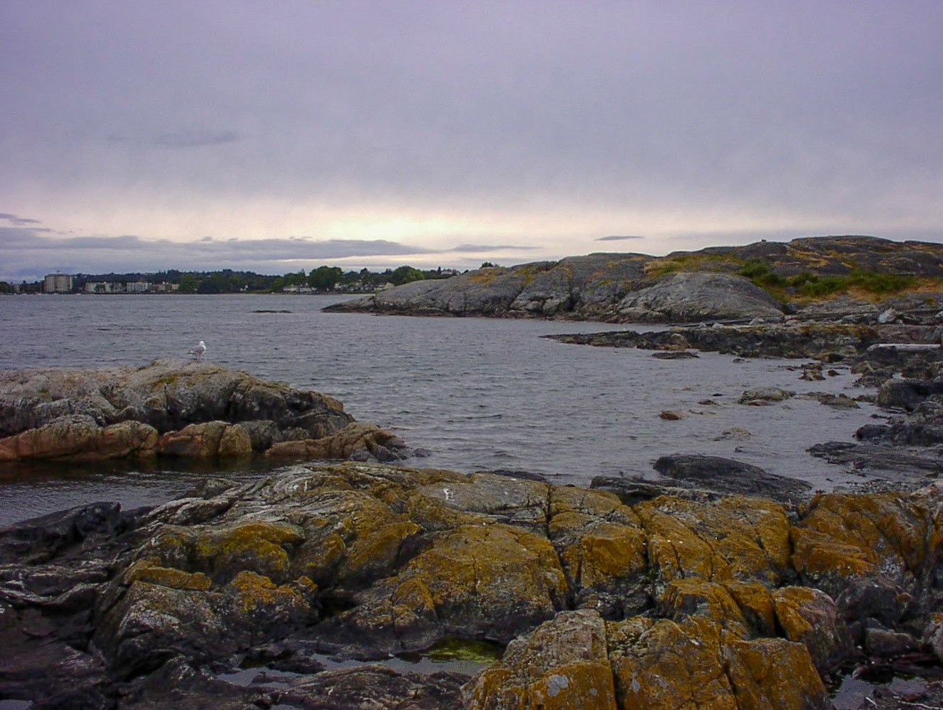Victoriaビクトリア近くの海岸