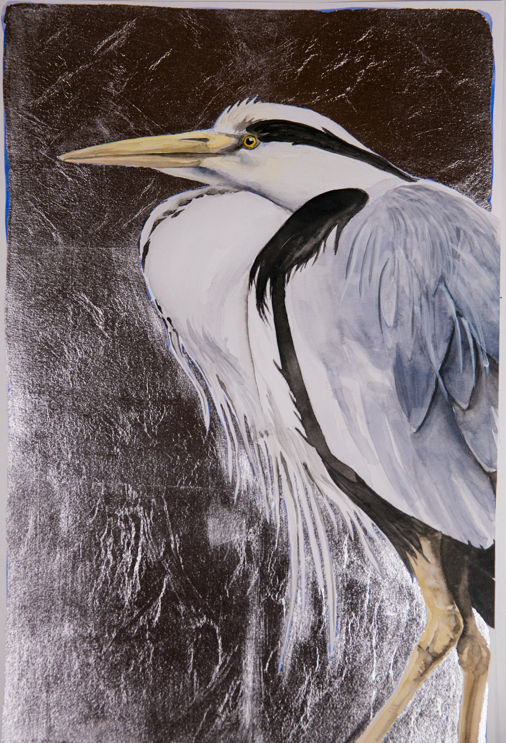 Grey Heron study (NFS)