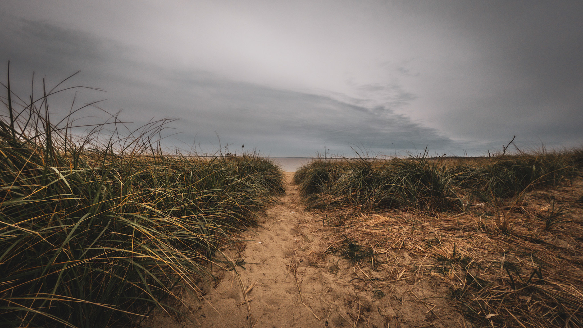 C:\DCIM\100GOPRO\GOPR0923.GPR