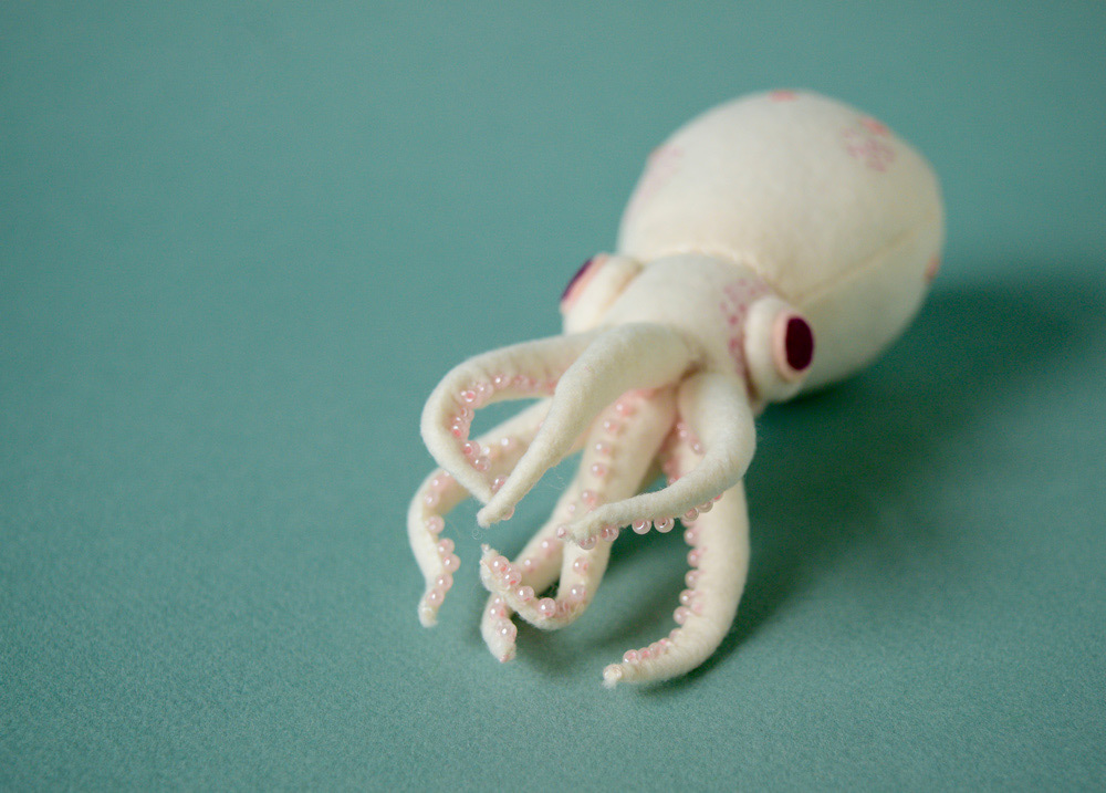 baby octopus photos
