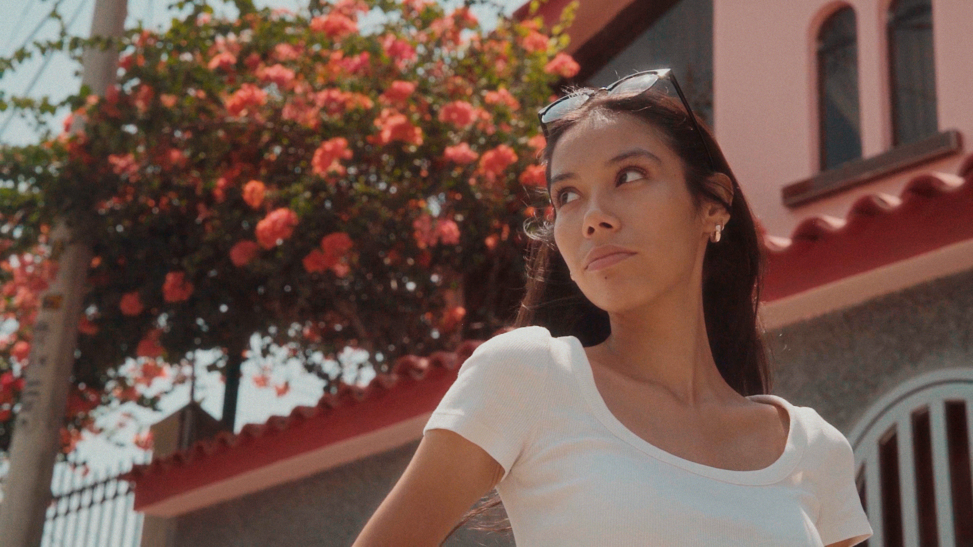 Cómo obtener el "Film look" (Dehancer Collab)