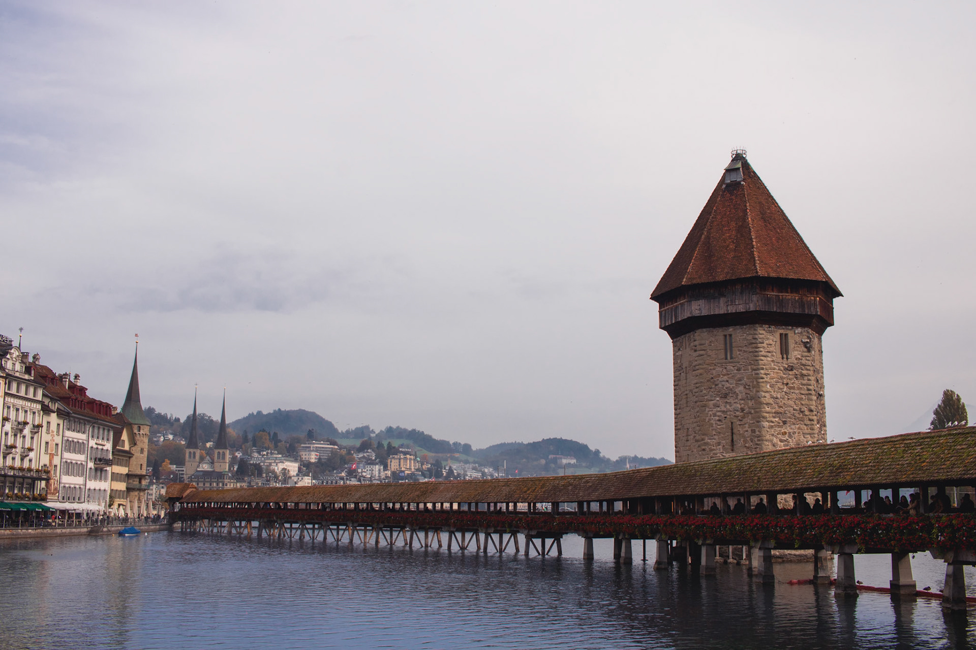 Lucerne