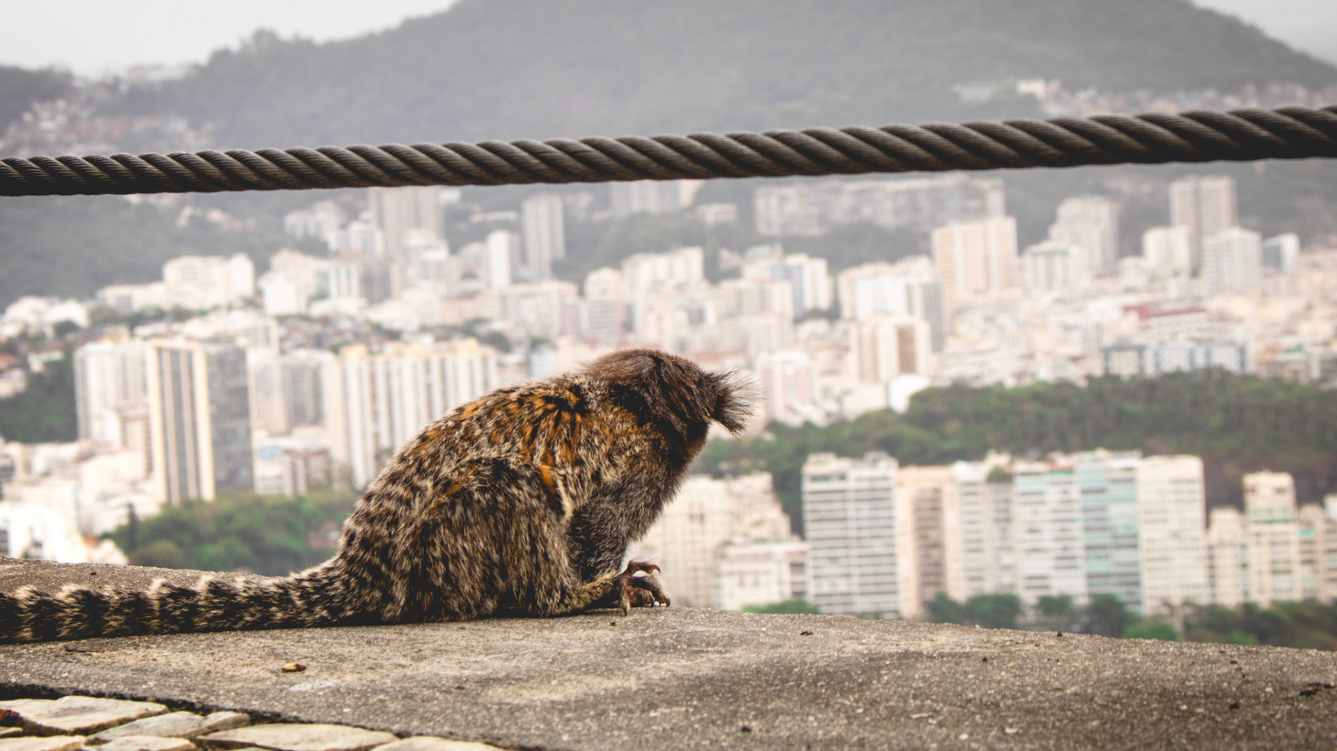 Rio De Janeiro
