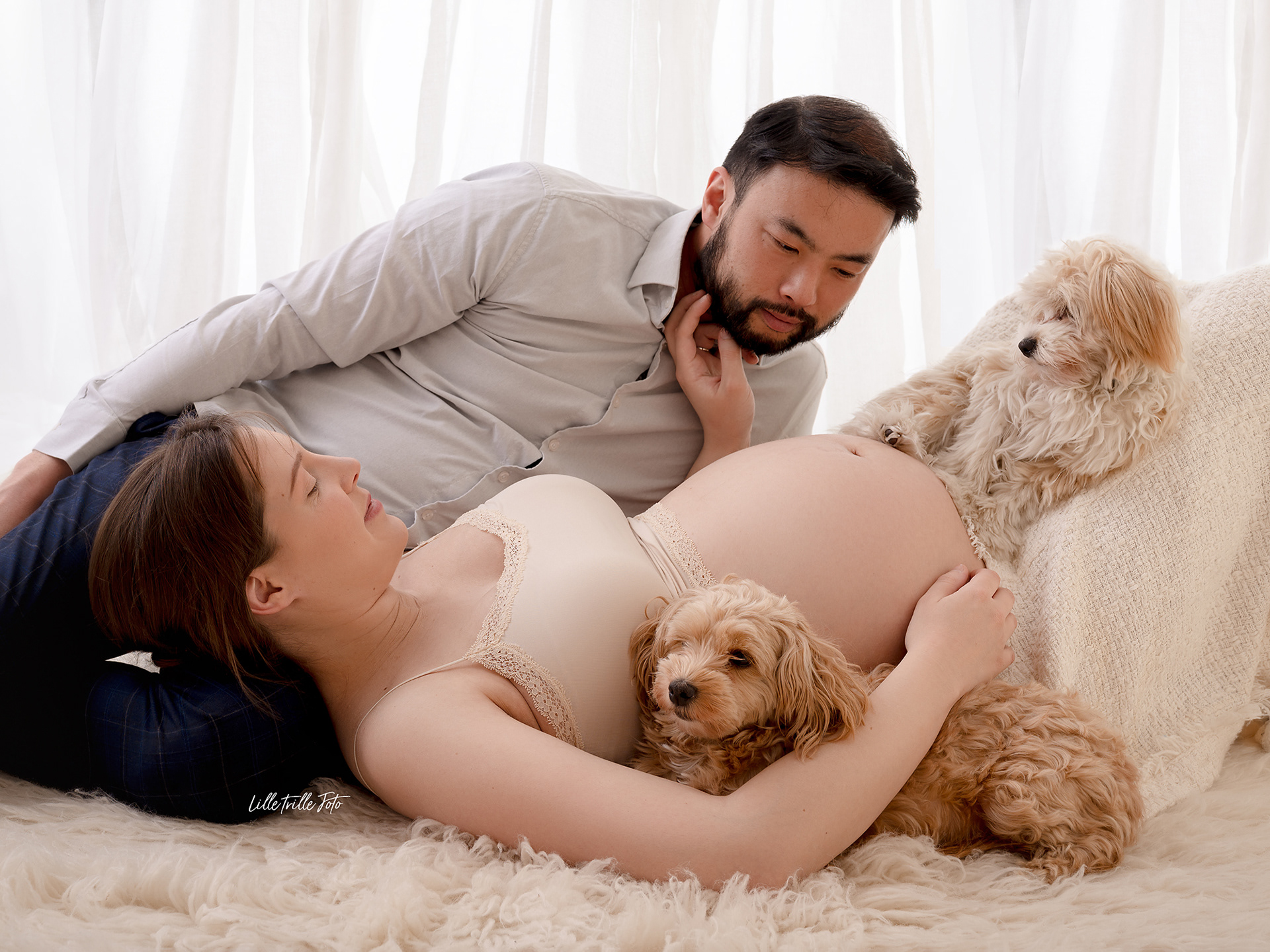 Gravidfotografering Tromsø, familiefotografering med hund