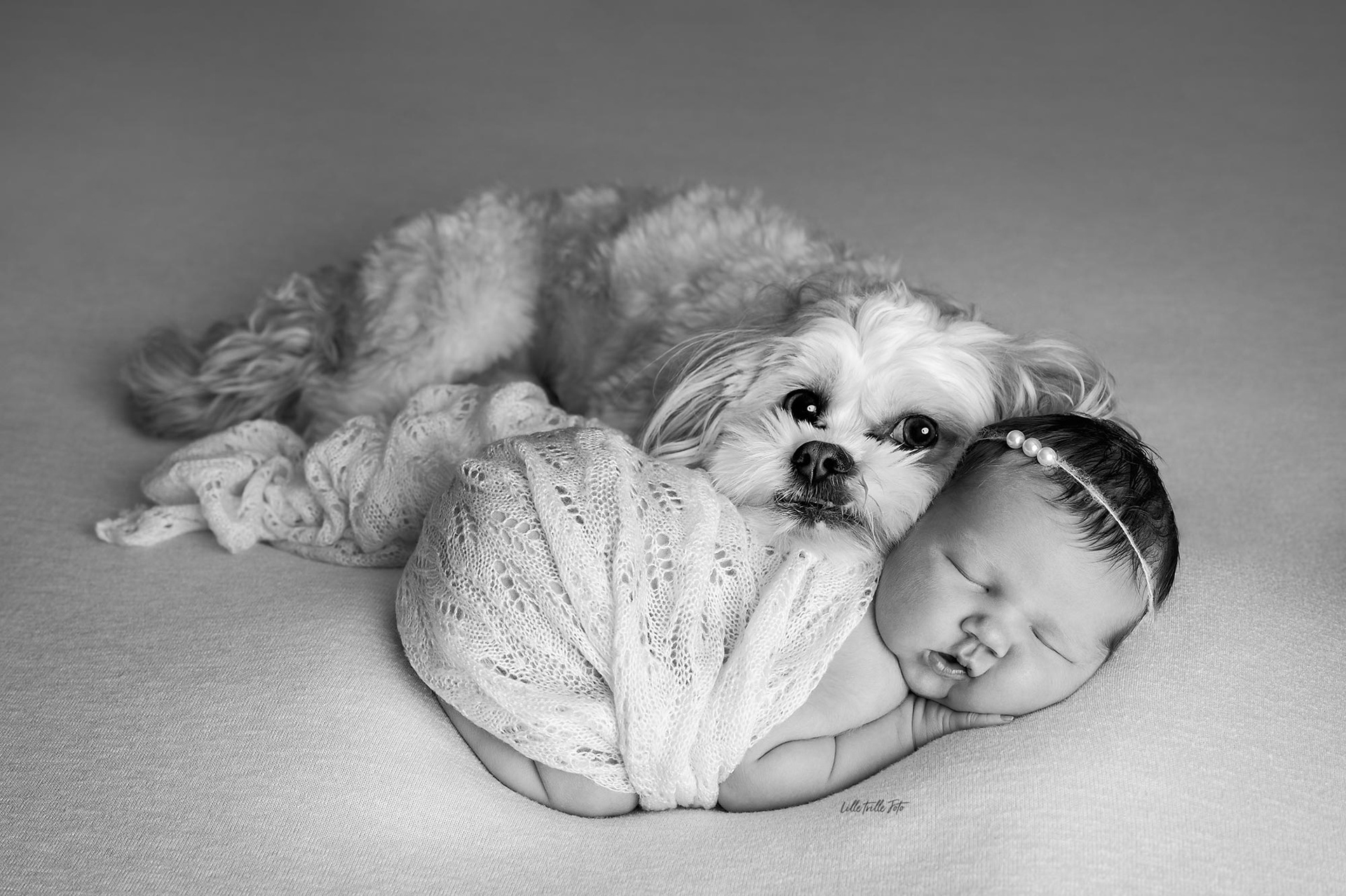 Fotograf Tromsø_nyfødt_gravid_baby