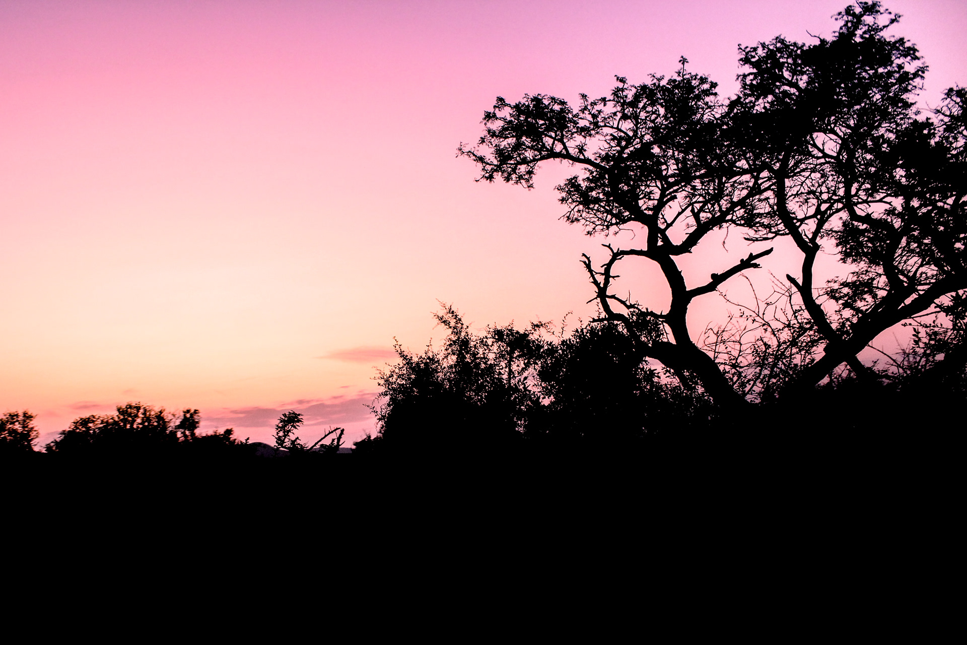 Hluhluwe-Umfolozi Game Reserve (KwaZulu-Natal)