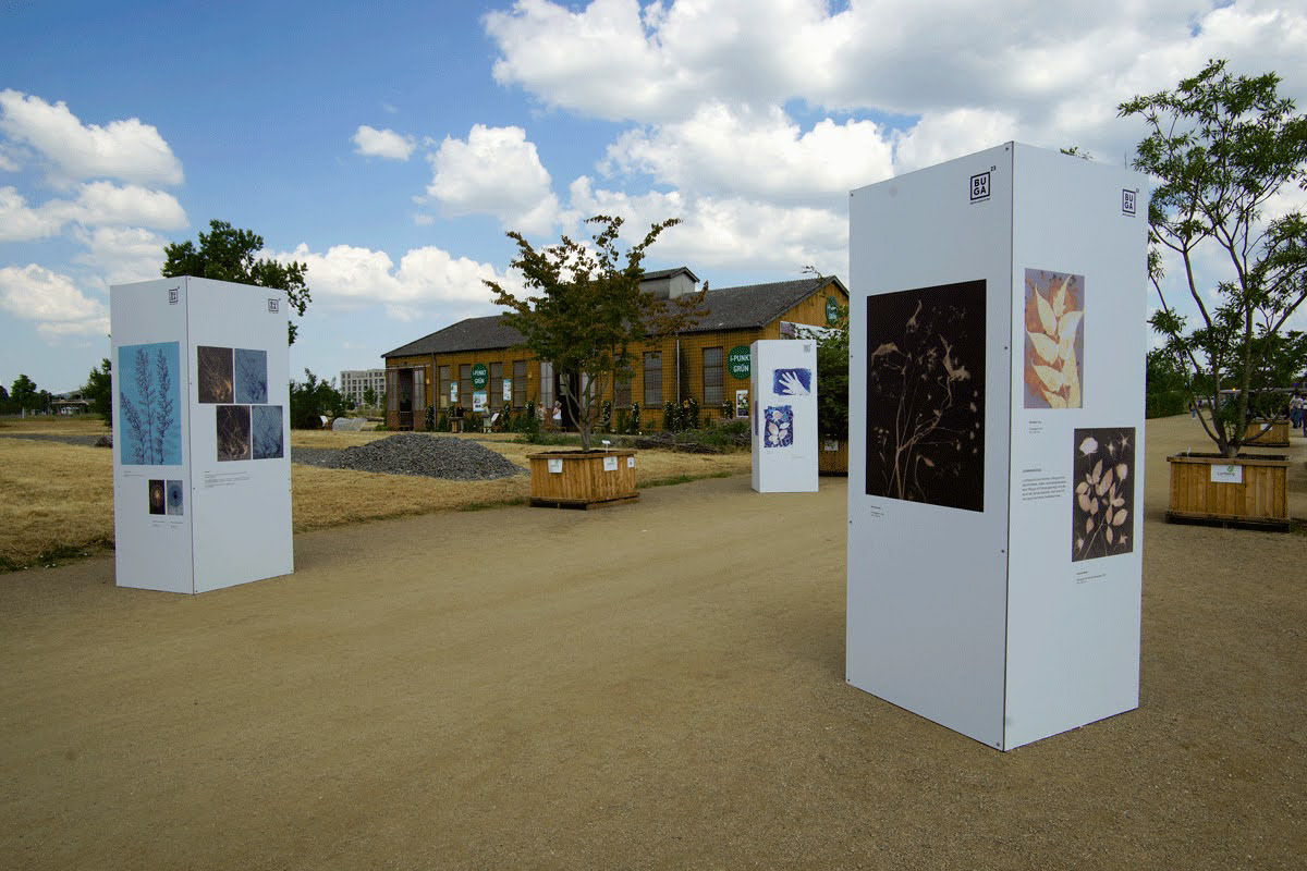 Lumenprints